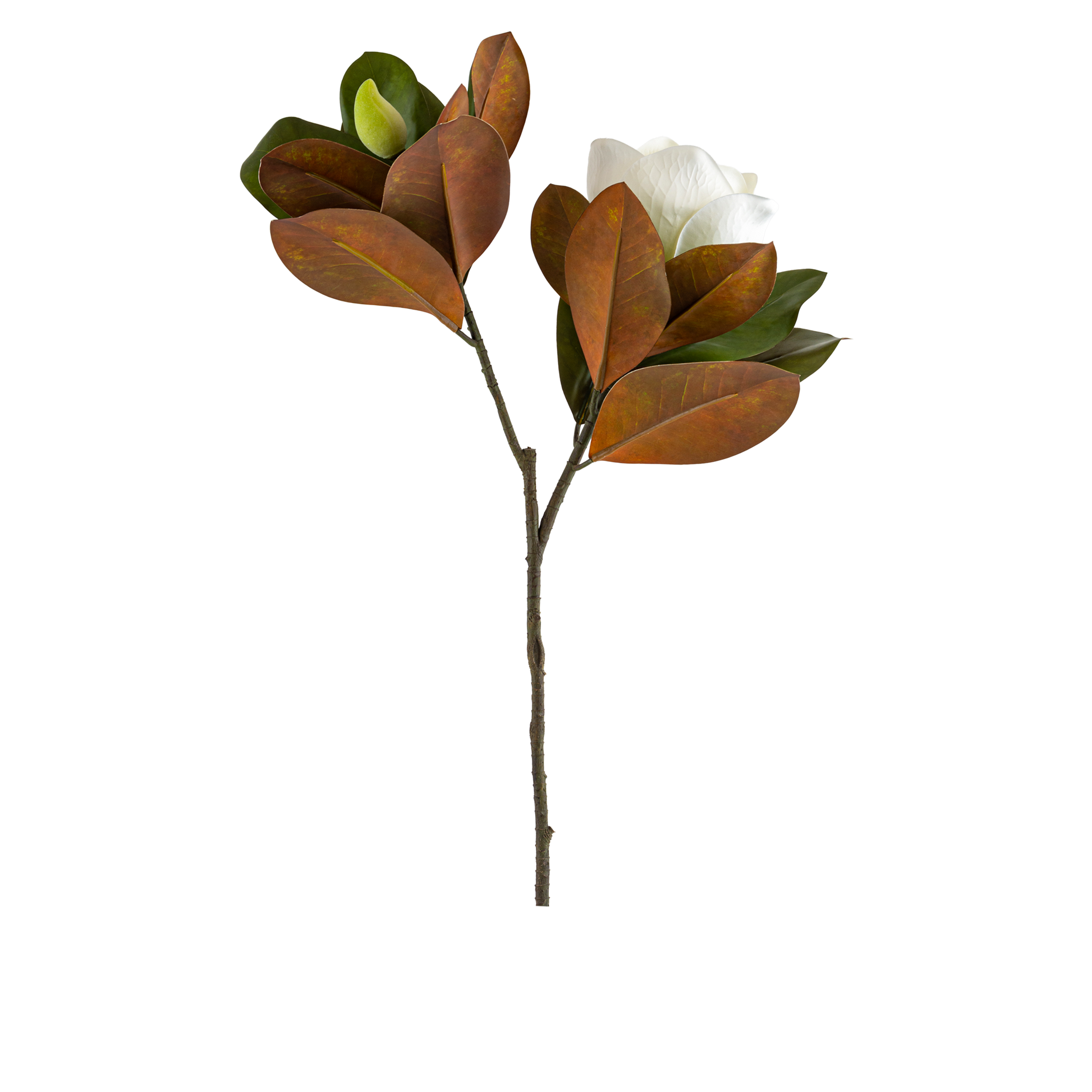 Magnolia Heads Branch L76 cm