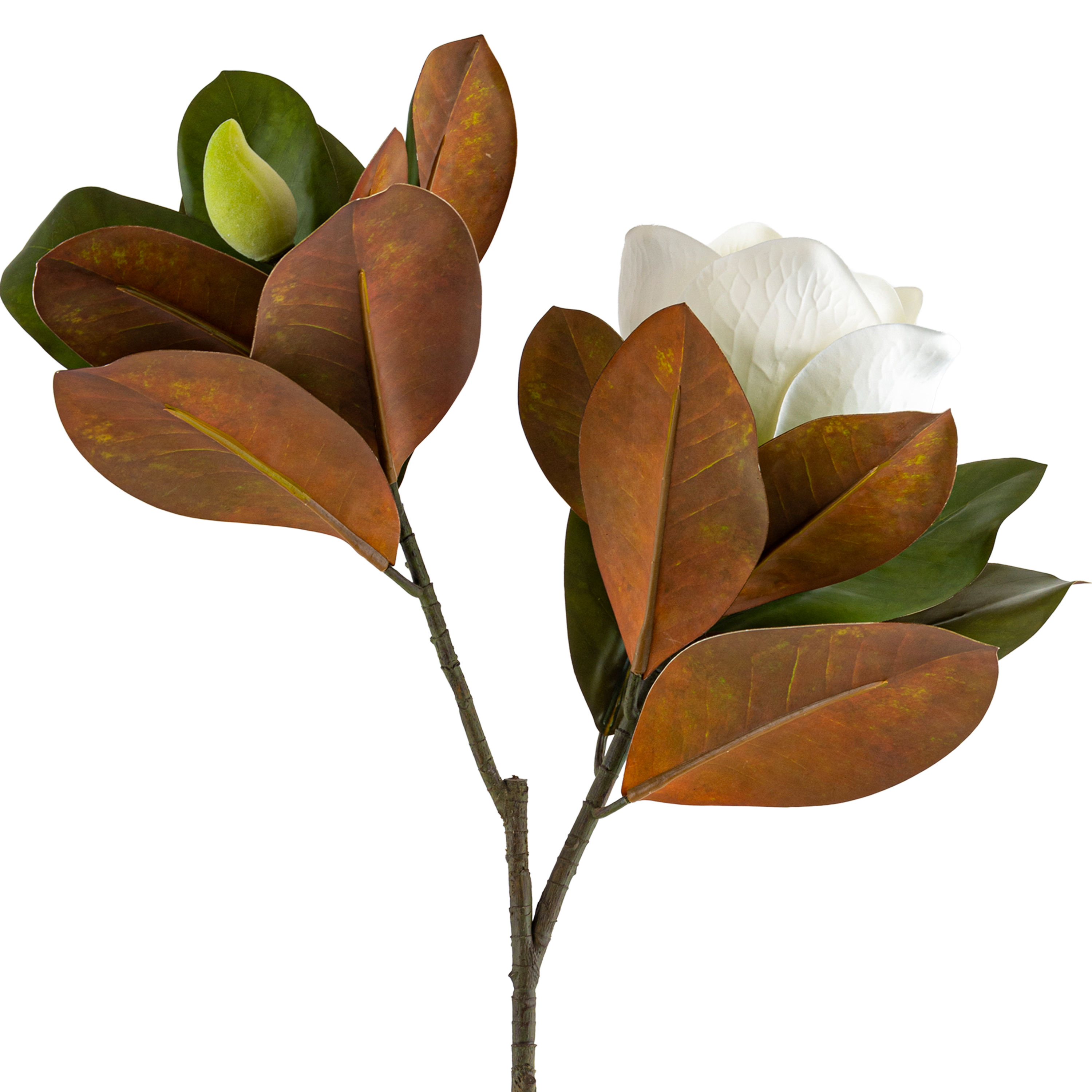 Magnolia Heads Branch L76 cm