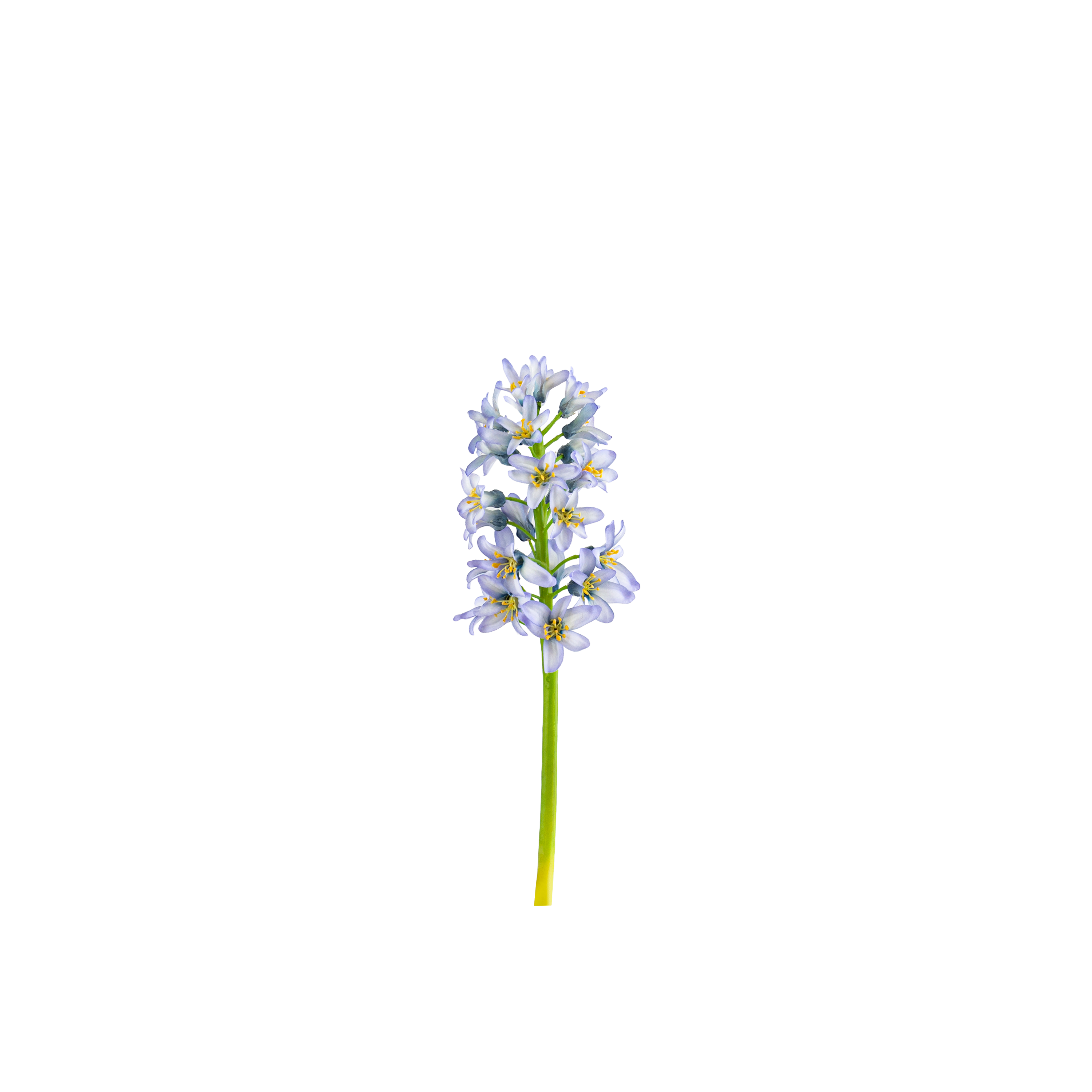 Hyacinth Stem L31 cm