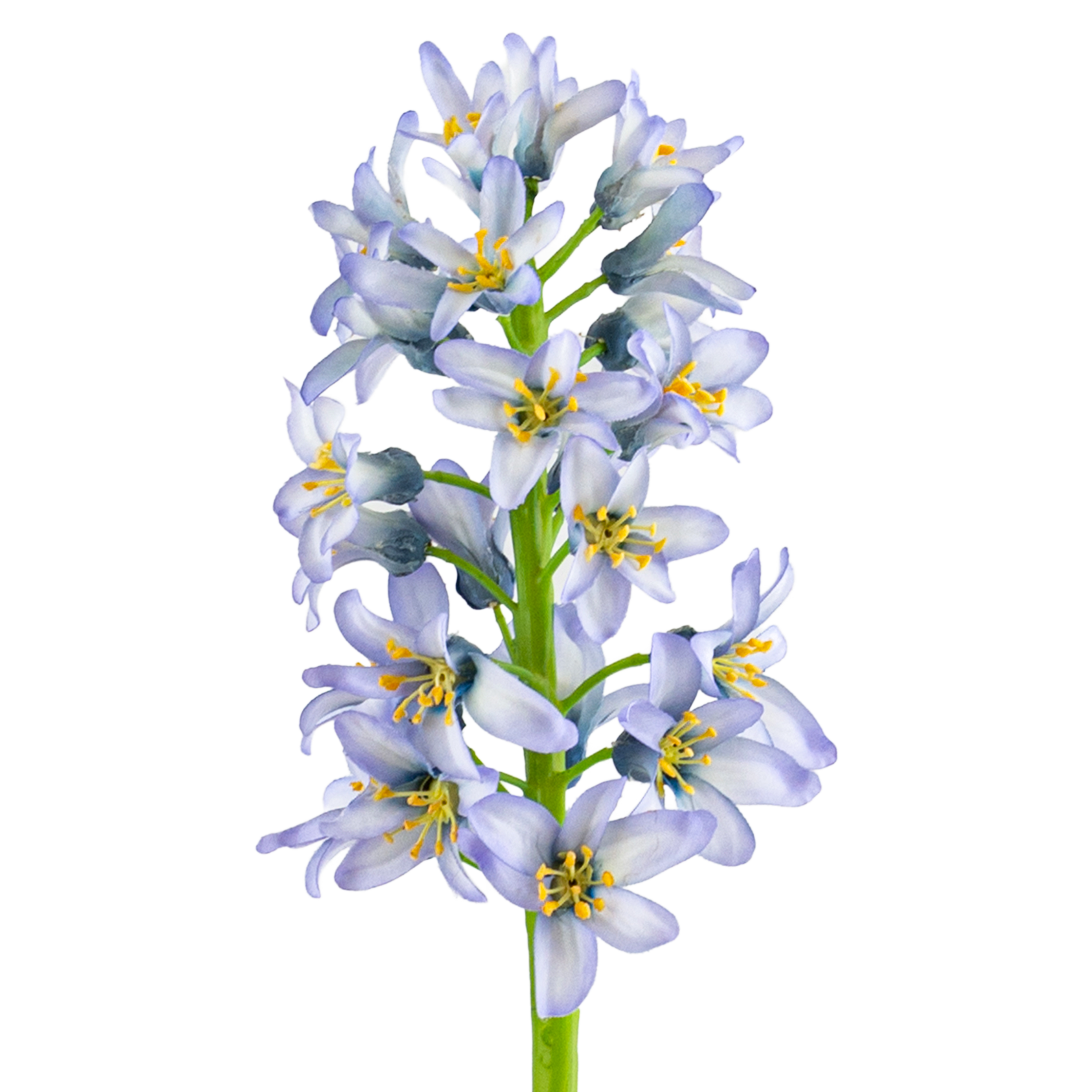 Hyacinth Stem L31 cm