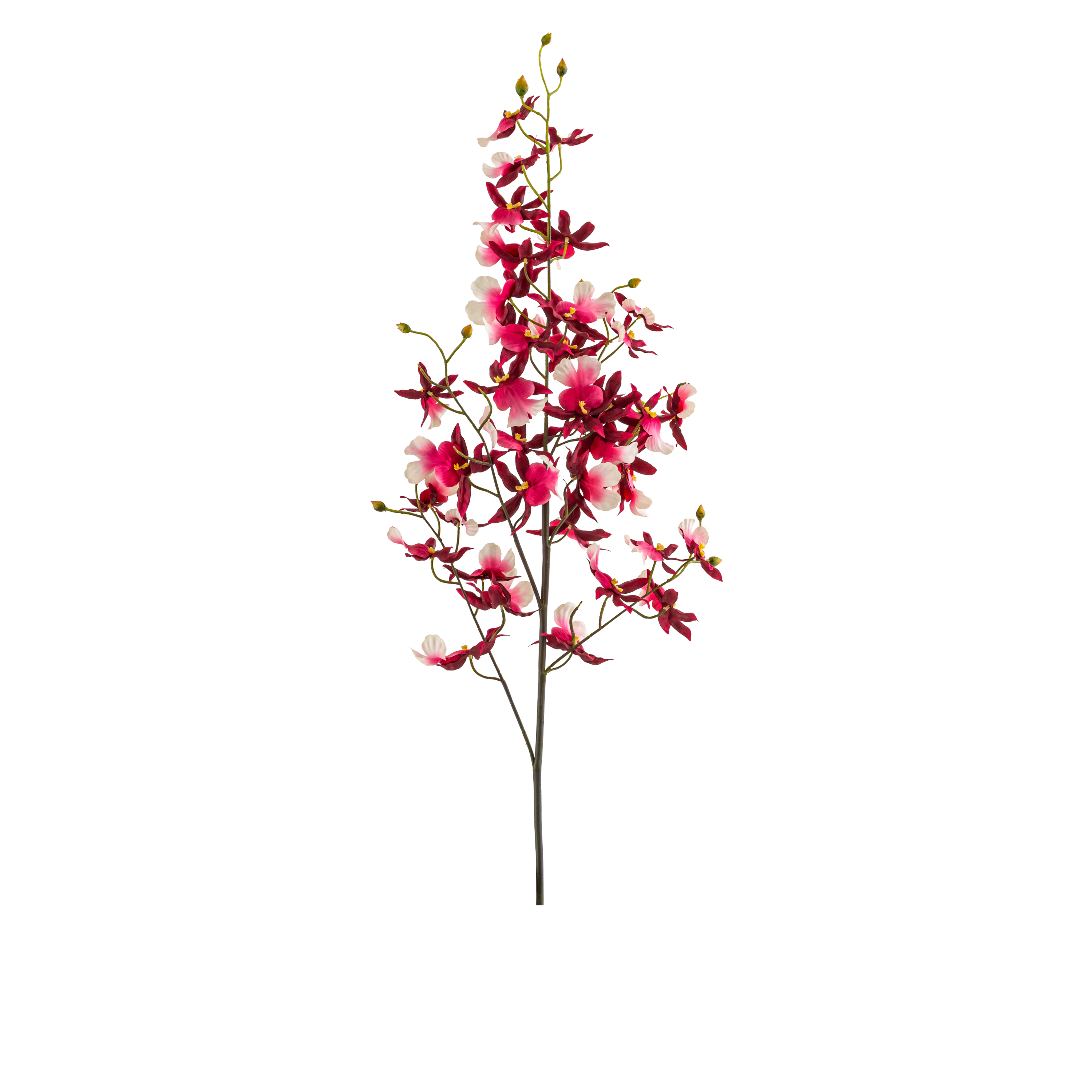 Dancing Orchid Spray L92.71 cm