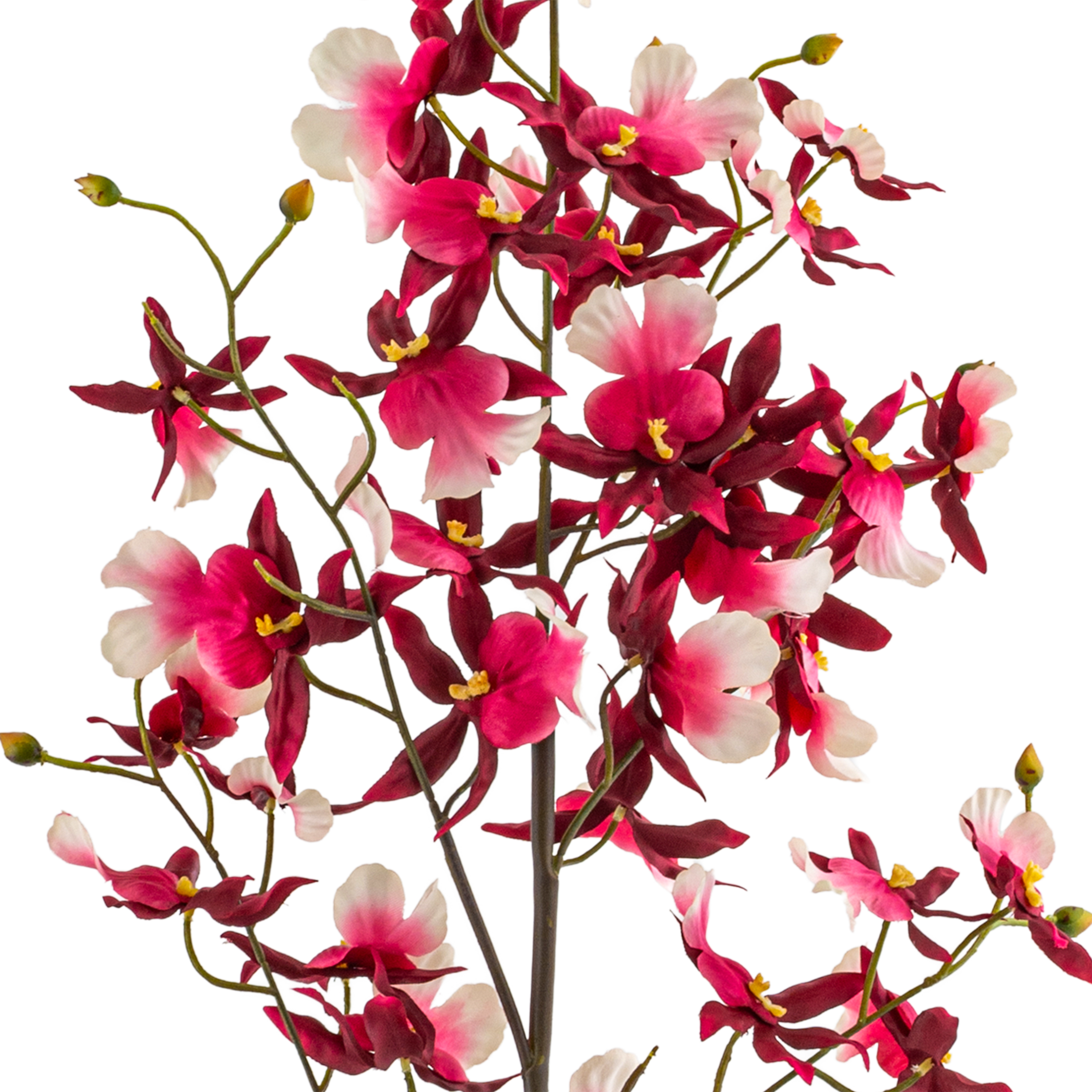 Dancing Orchid Spray L92.71 cm