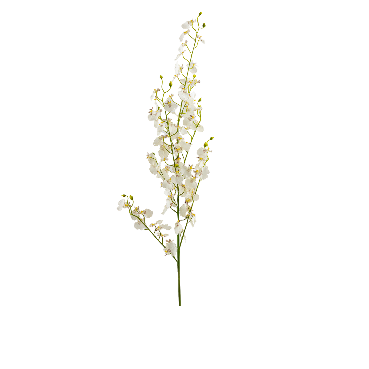 Dancing Orchid Spray L125 cm