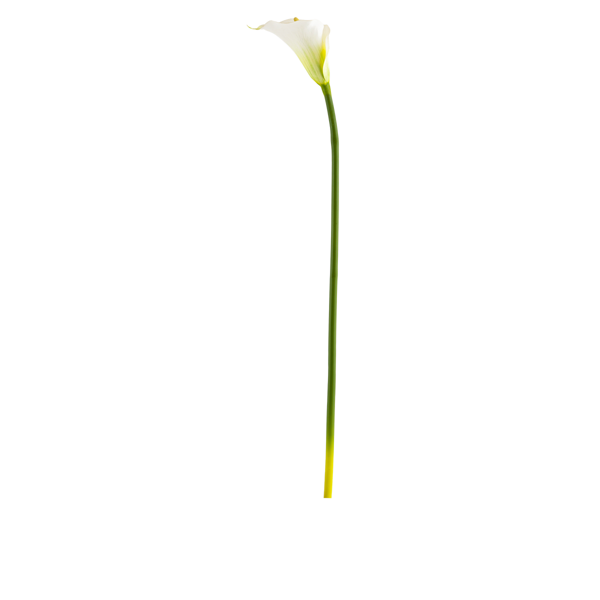 Calla Lily Stem L77 cm