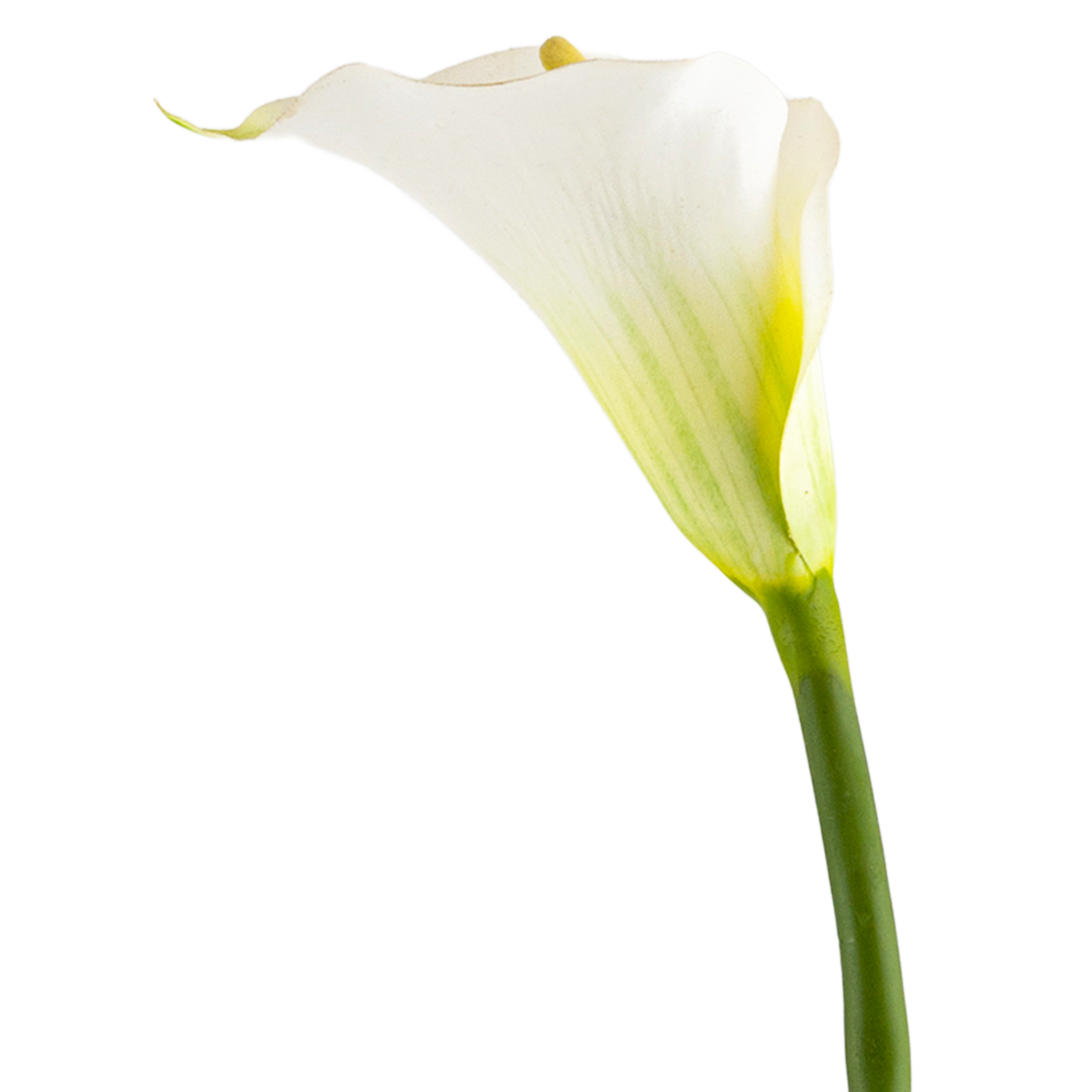 Calla Lily Stem L77 cm