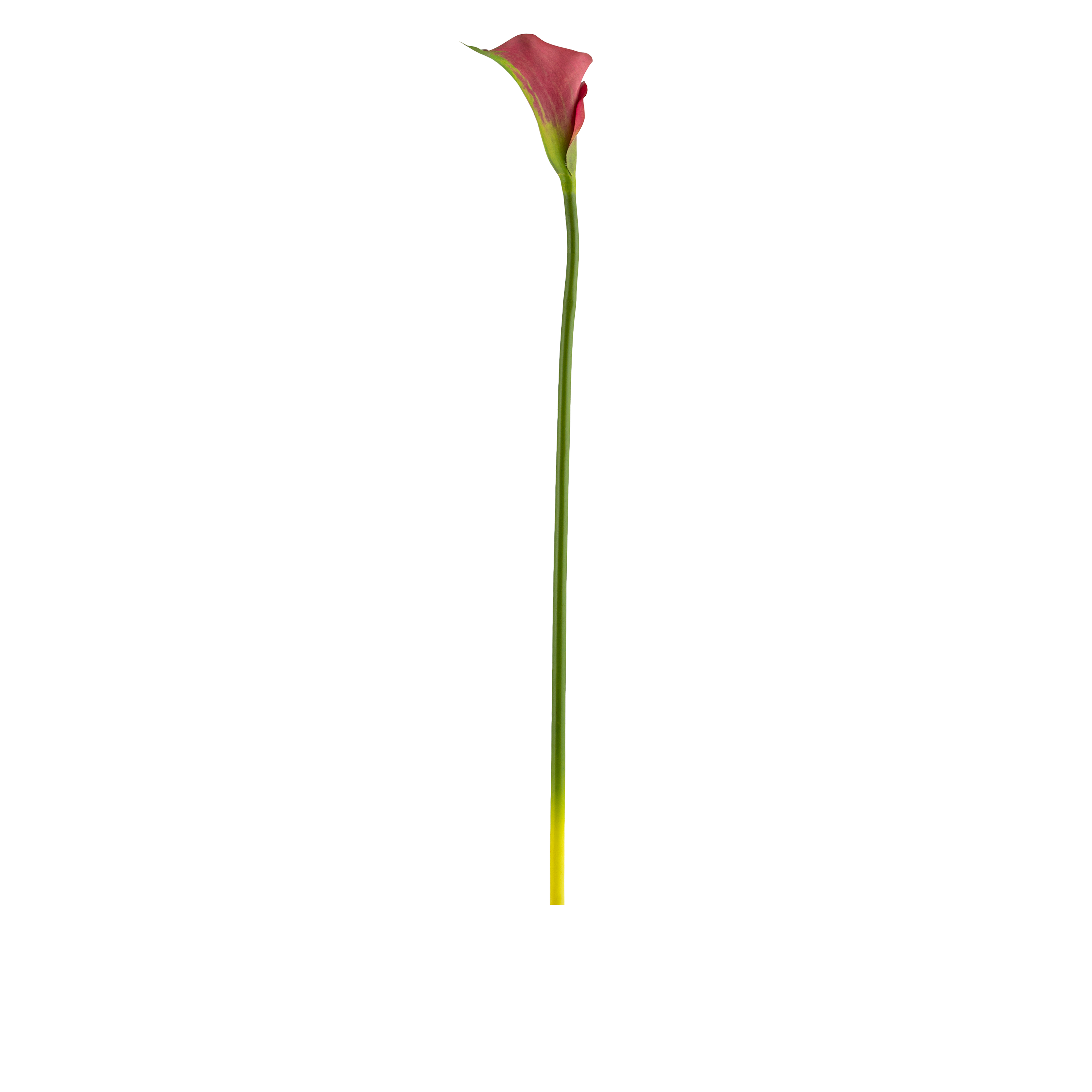 Calla Lily Stem L77 cm