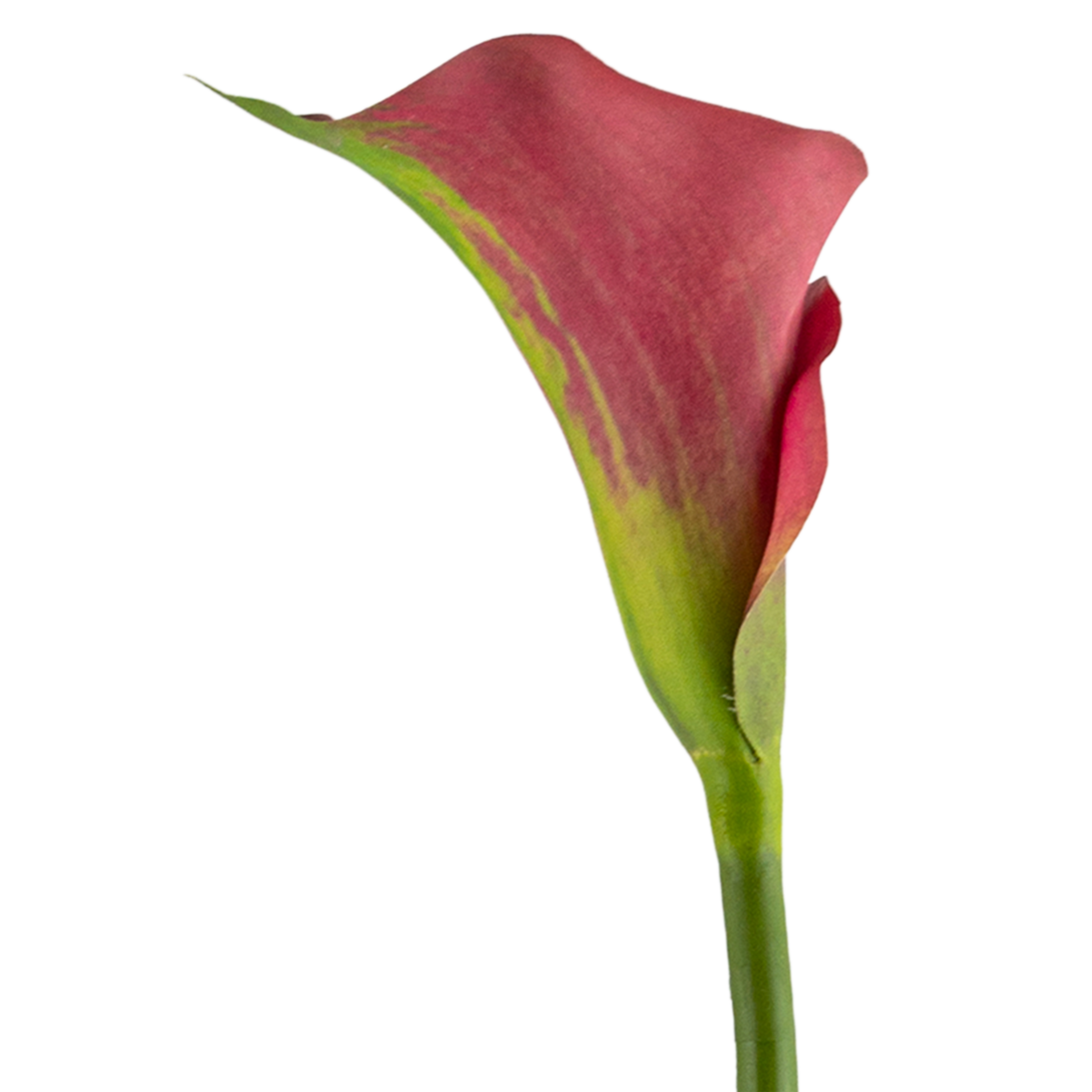 Calla Lily Stem L77 cm