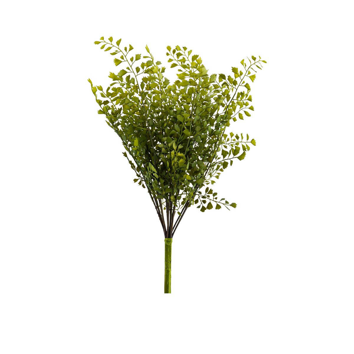 Maiden Hair Bush Yellow/Green L45.72 cm