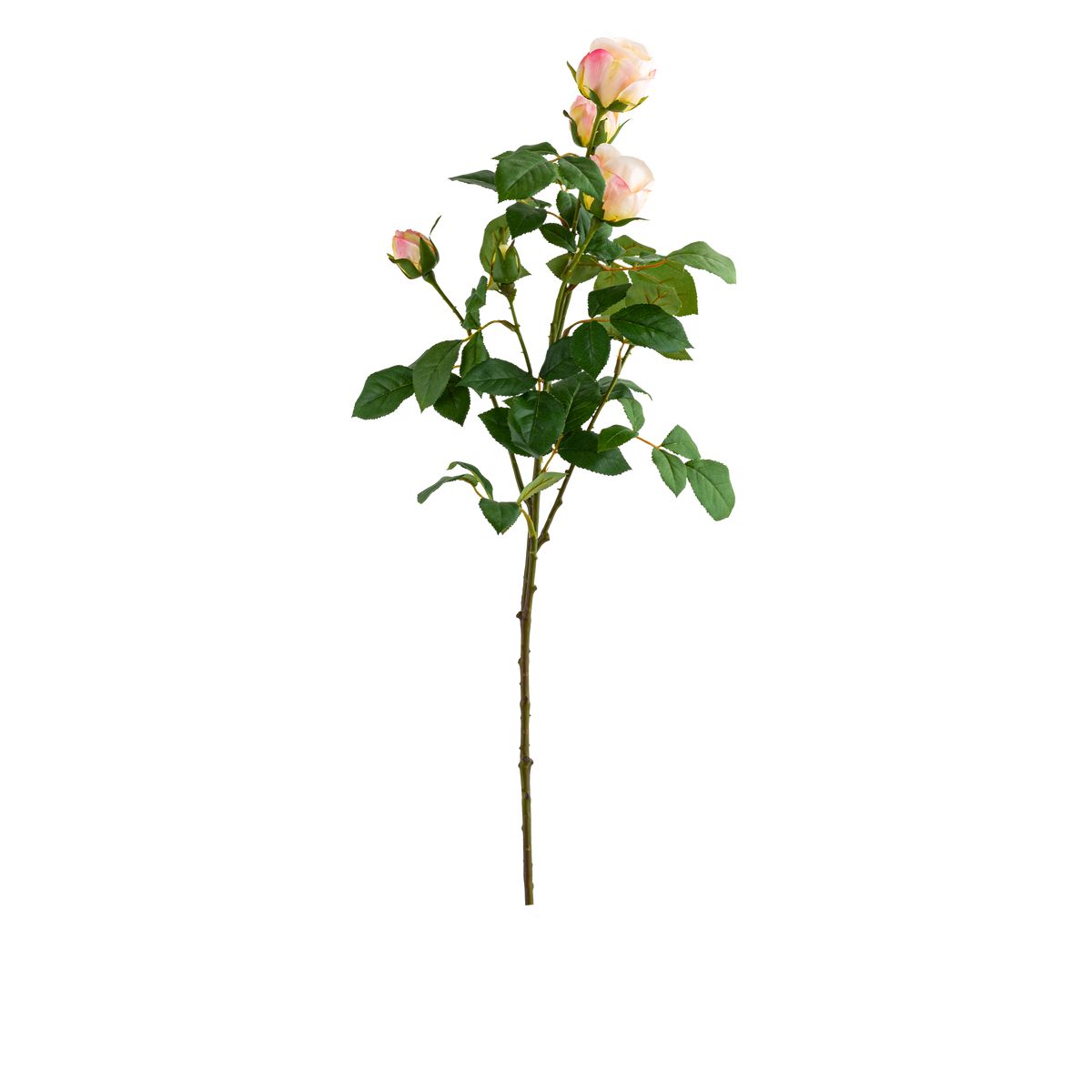 Rose Stem L69 cm