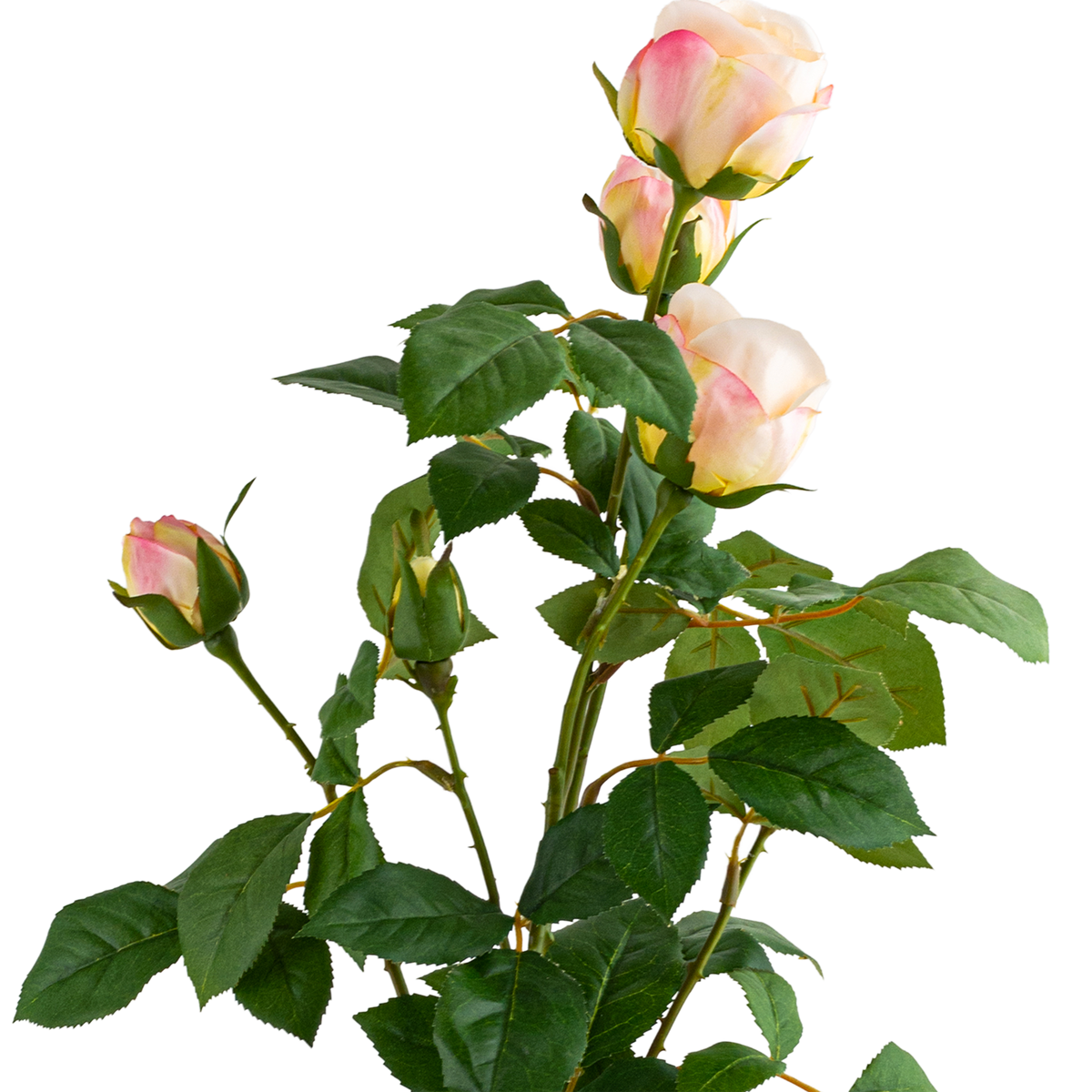 Rose Stem L69 cm