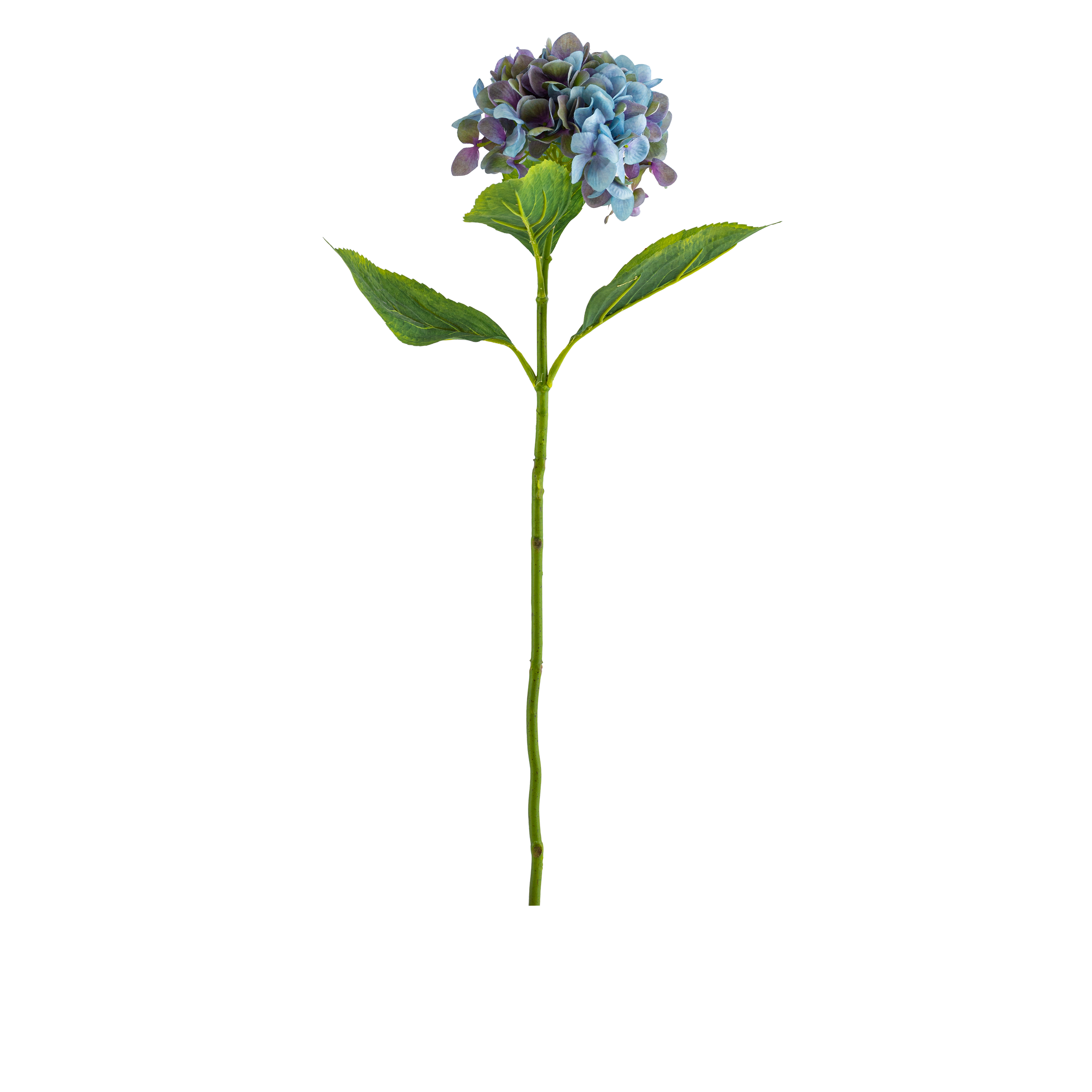 Hydrangea Stem L67 cm