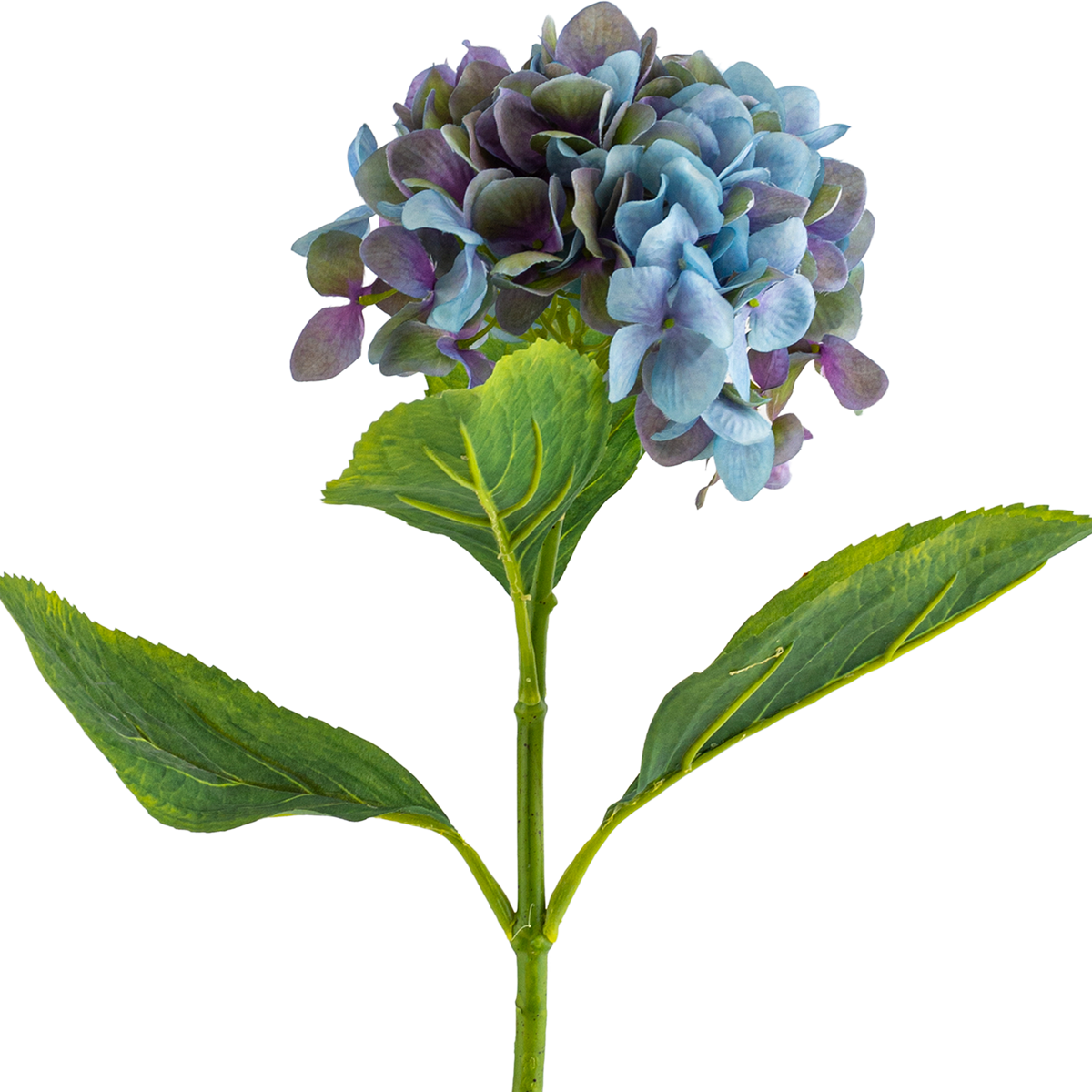 Hydrangea Stem L67 cm