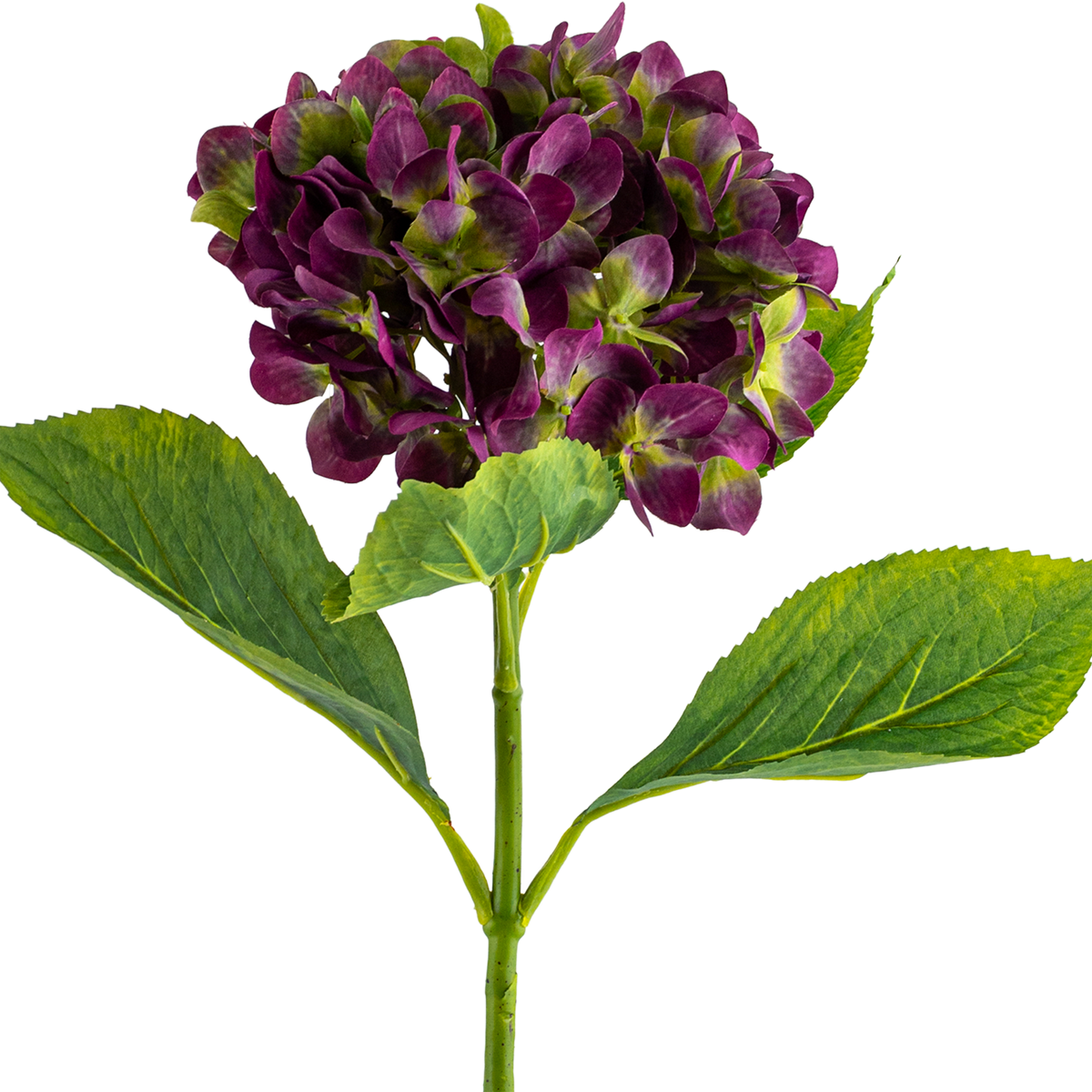 Hydrangea Stem L67 cm