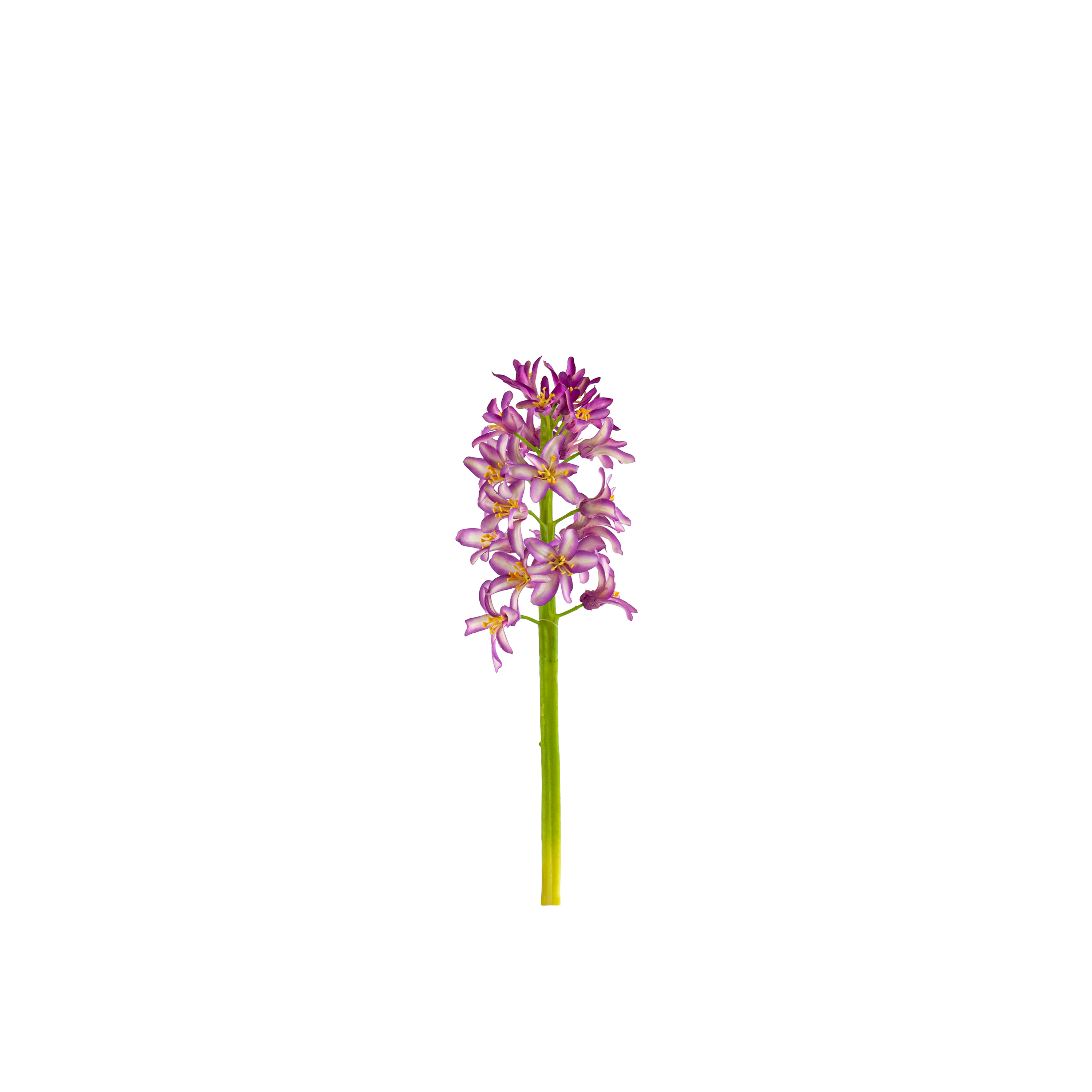 Hyacinth Stem L31 cm