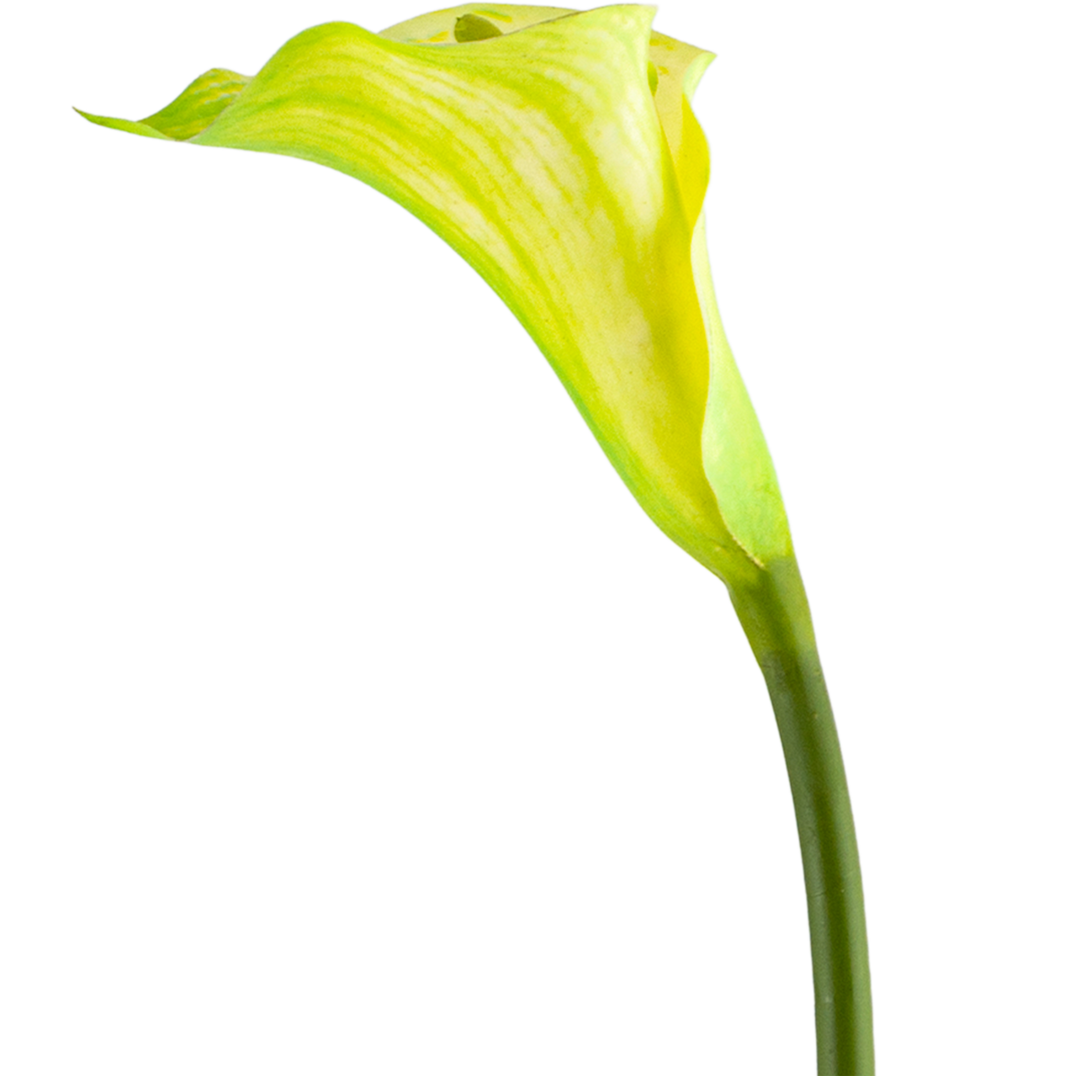 Calla Lily Stem L77 cm