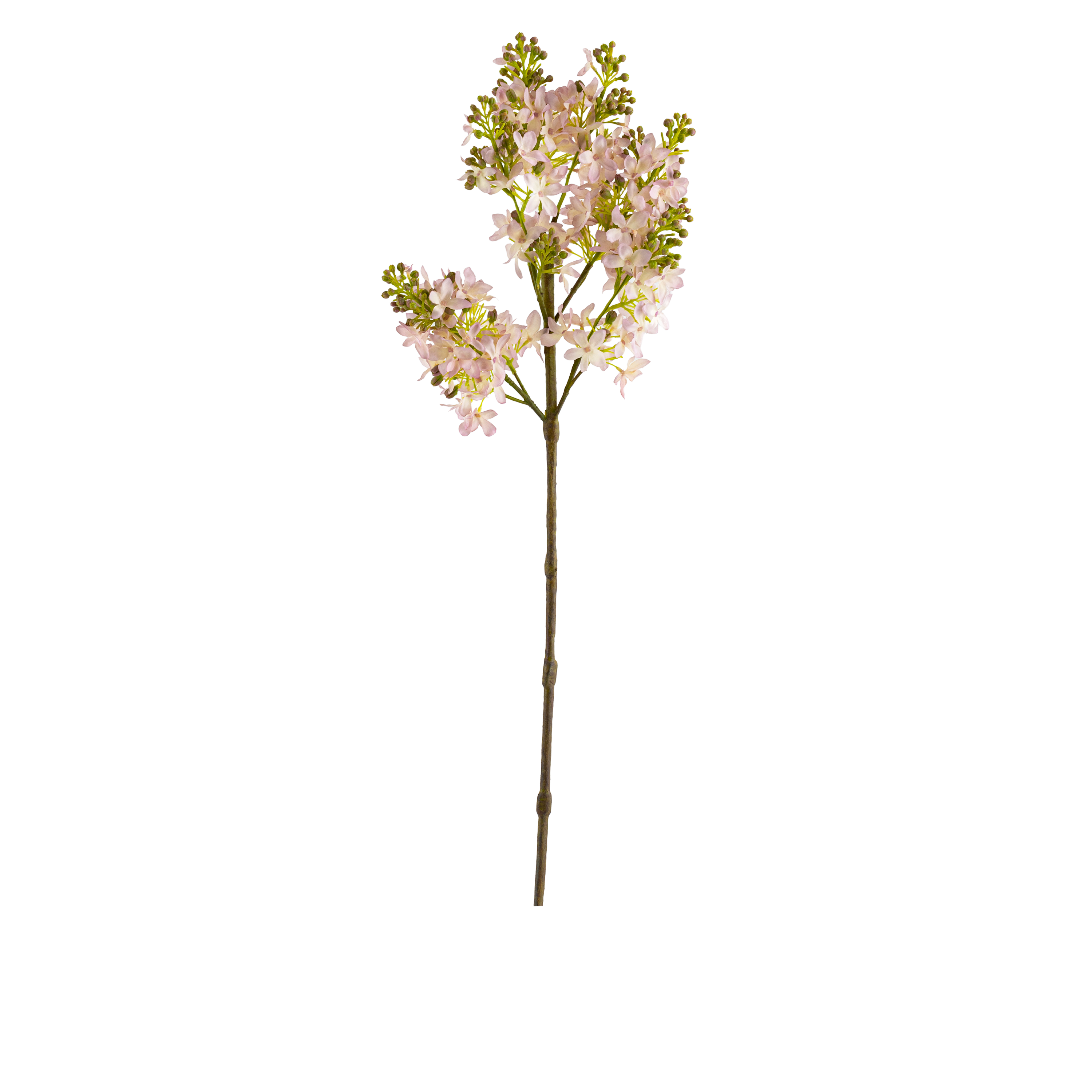 Lilac Stem L67 cm