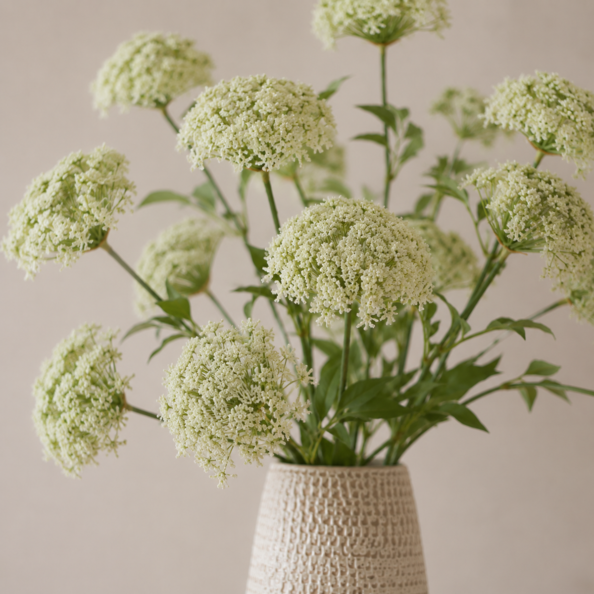 Queen Anne Lace Stem L88.9 cm