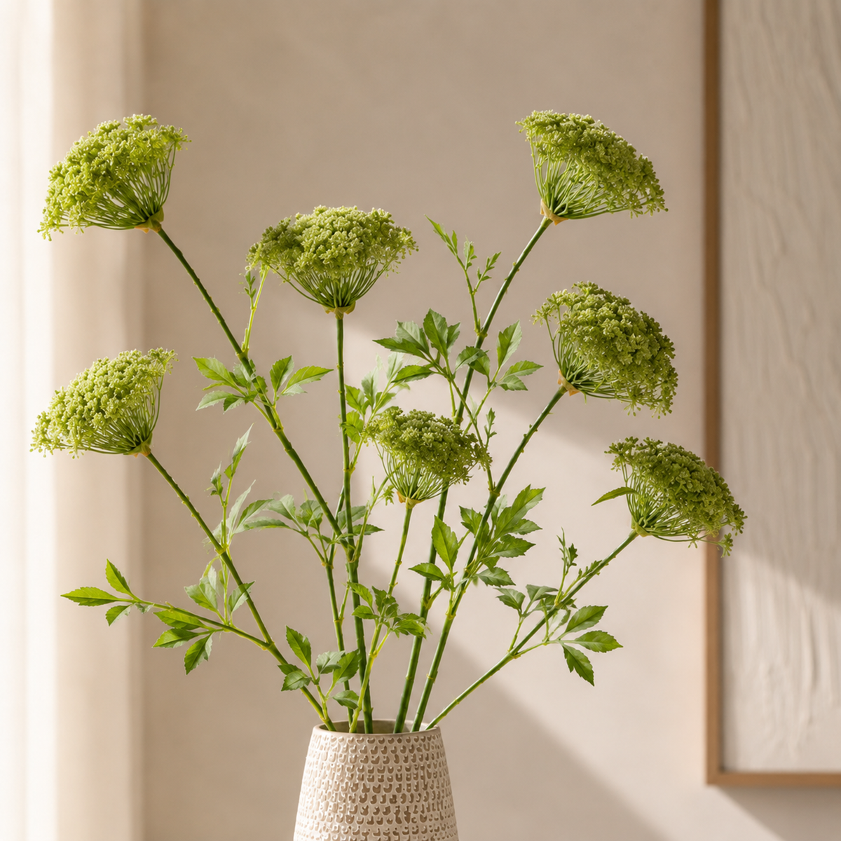 Queen Anne Lace Stem L88.9 cm
