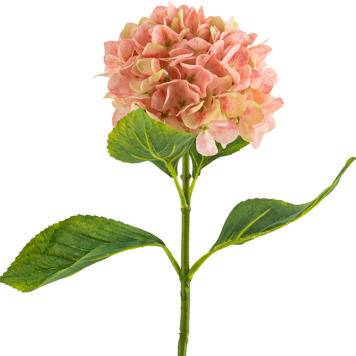 Hydrangea Stem L67 cm