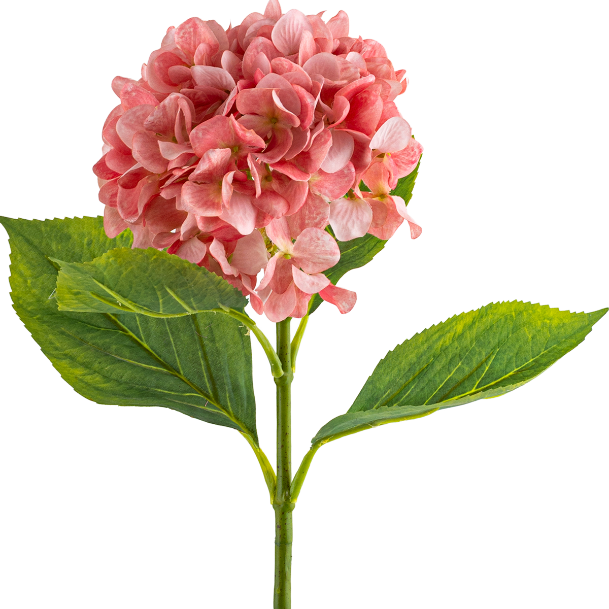 Hydrangea Stem L67 cm