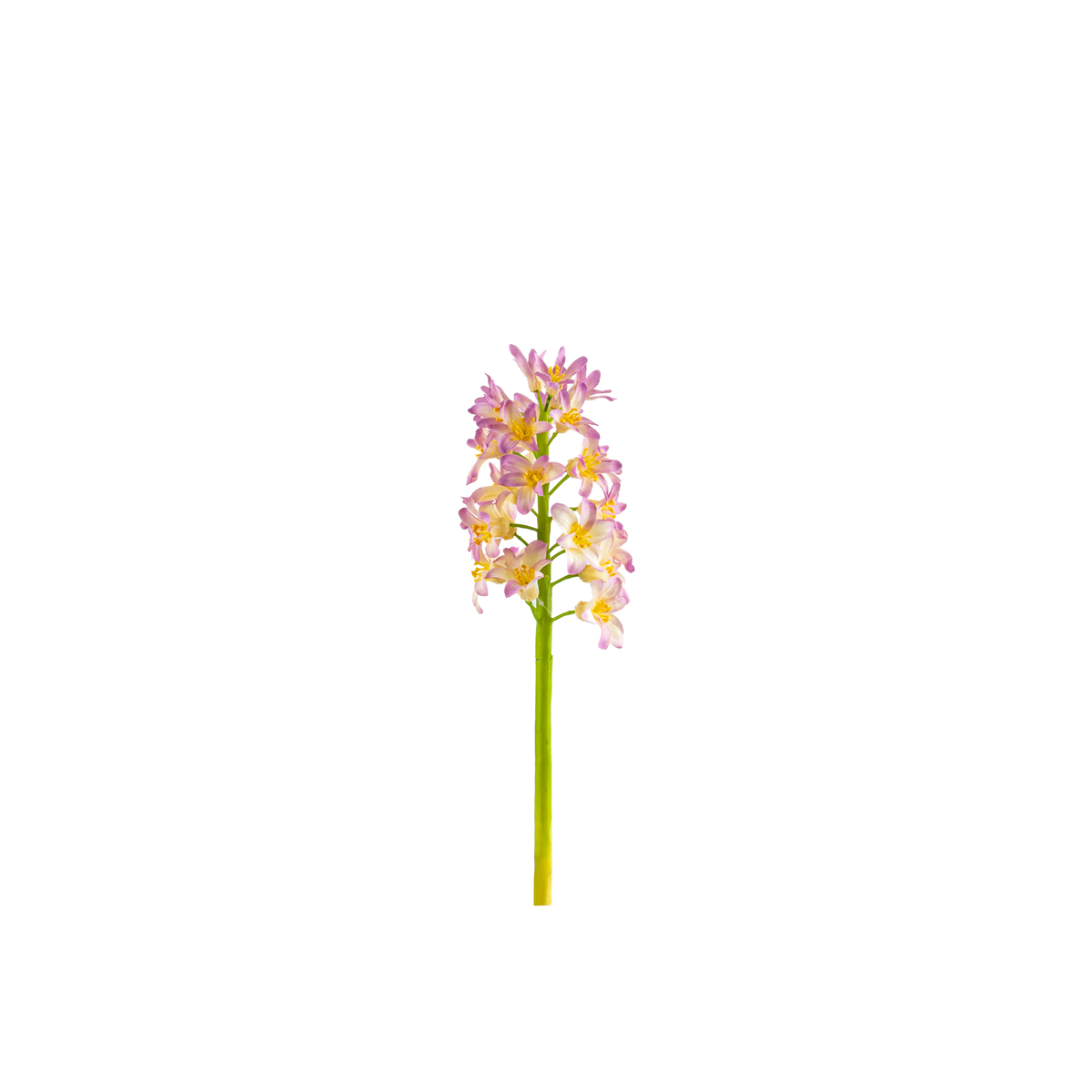 Hyacinth Stem L31 cm