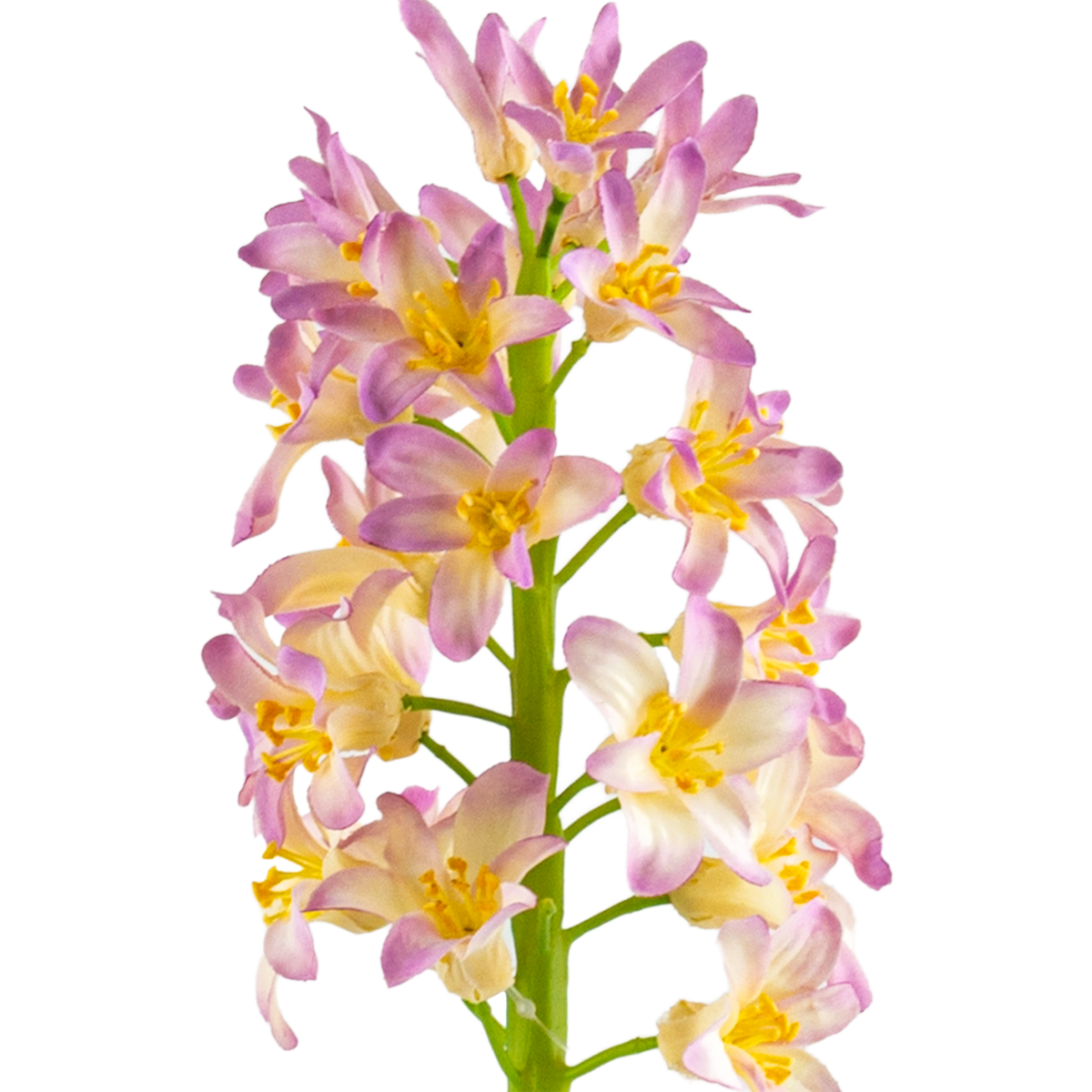 Hyacinth Stem L31 cm