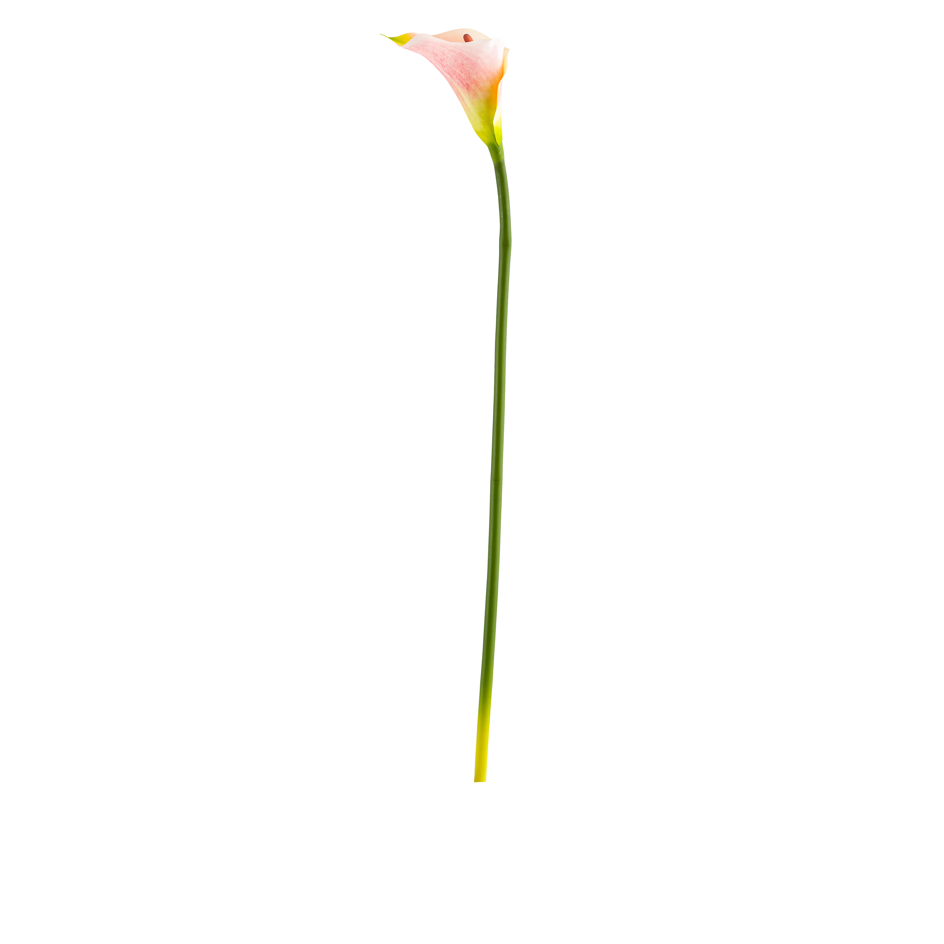 Calla Lily Stem L77 cm