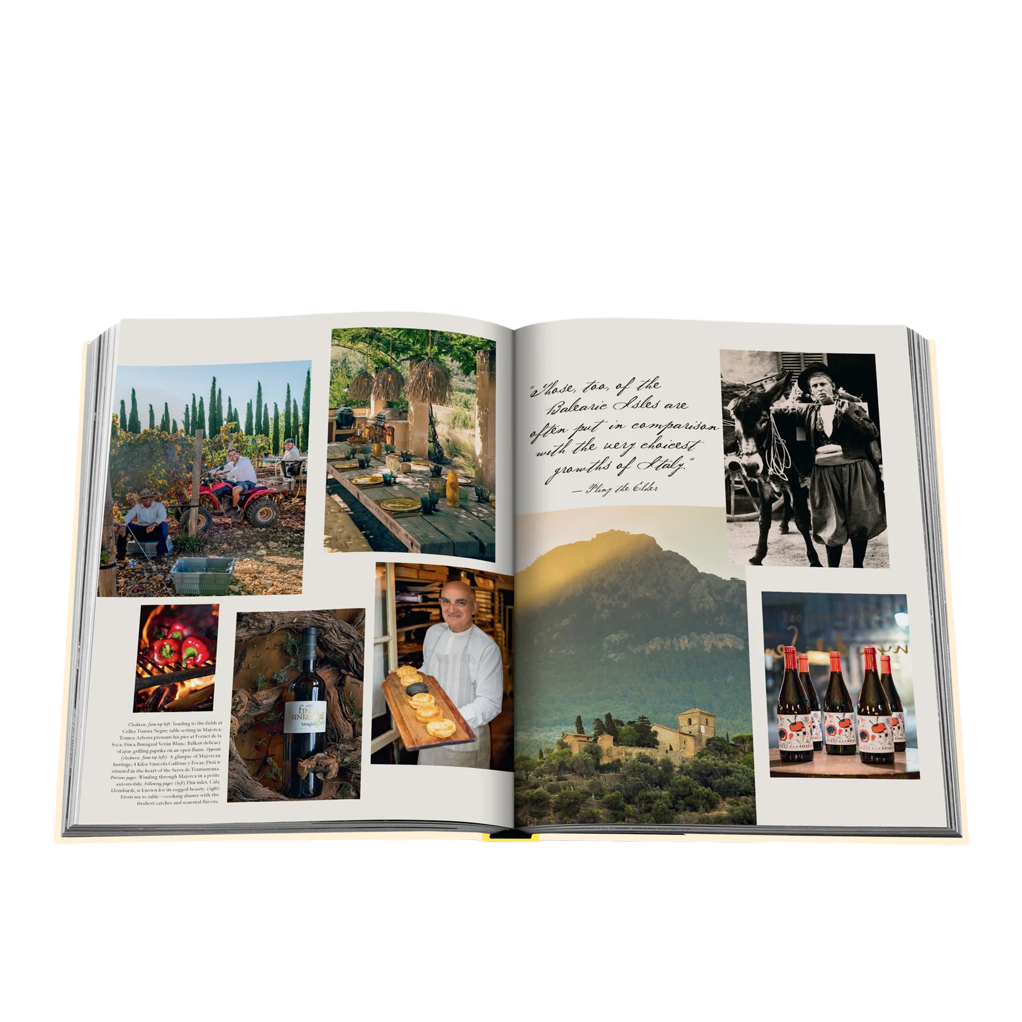 Wine & Travel Mediterranean Islands