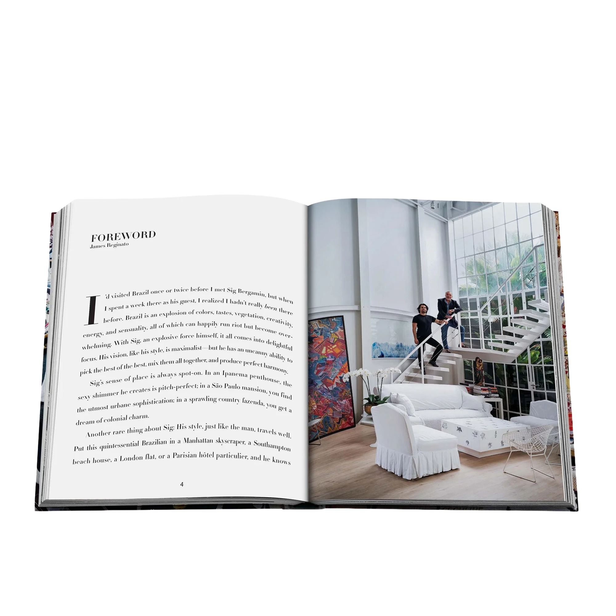 Maximalism By Sig Bergamin