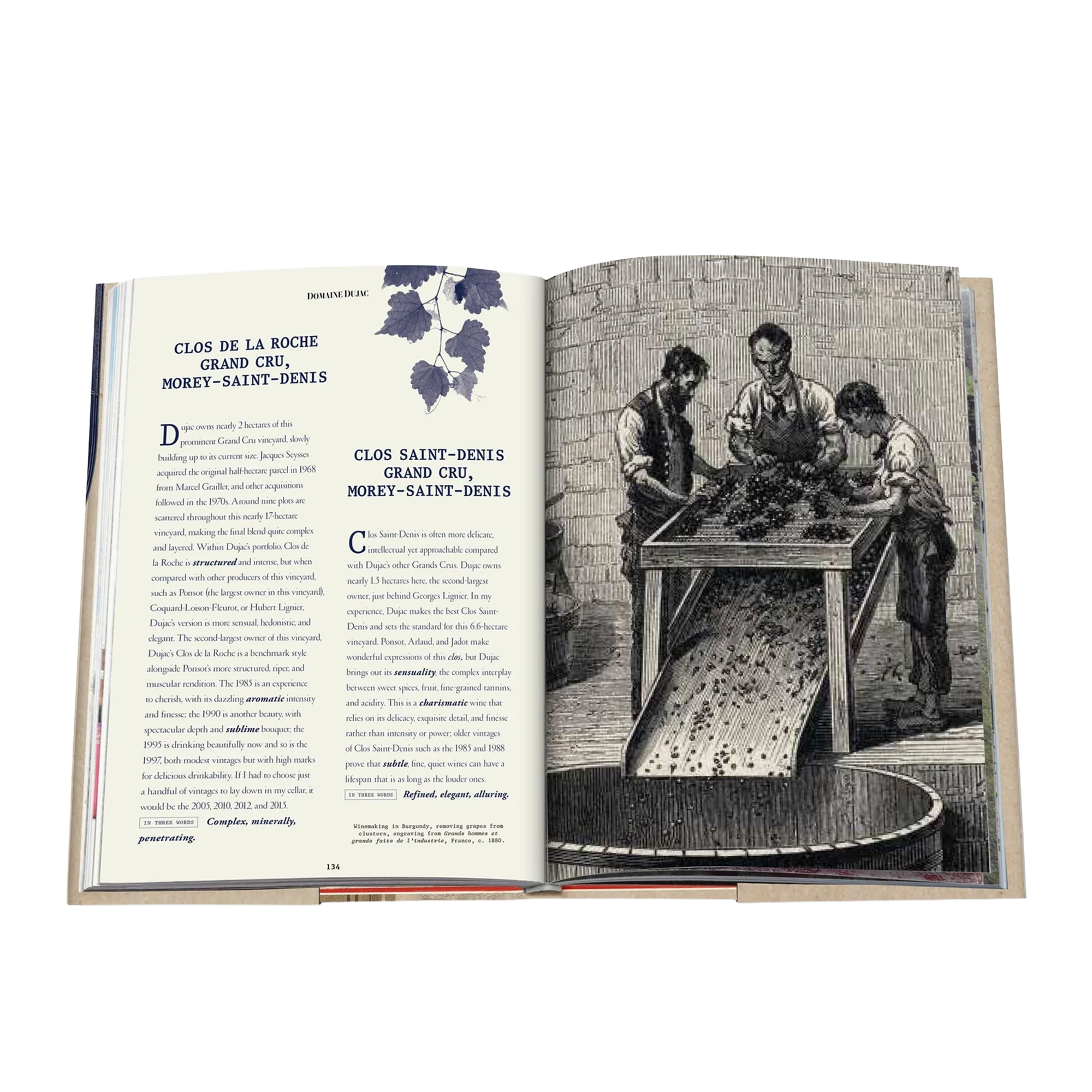 The 100 Burgundy: Exceptional Wines To Build A Dream Cellar