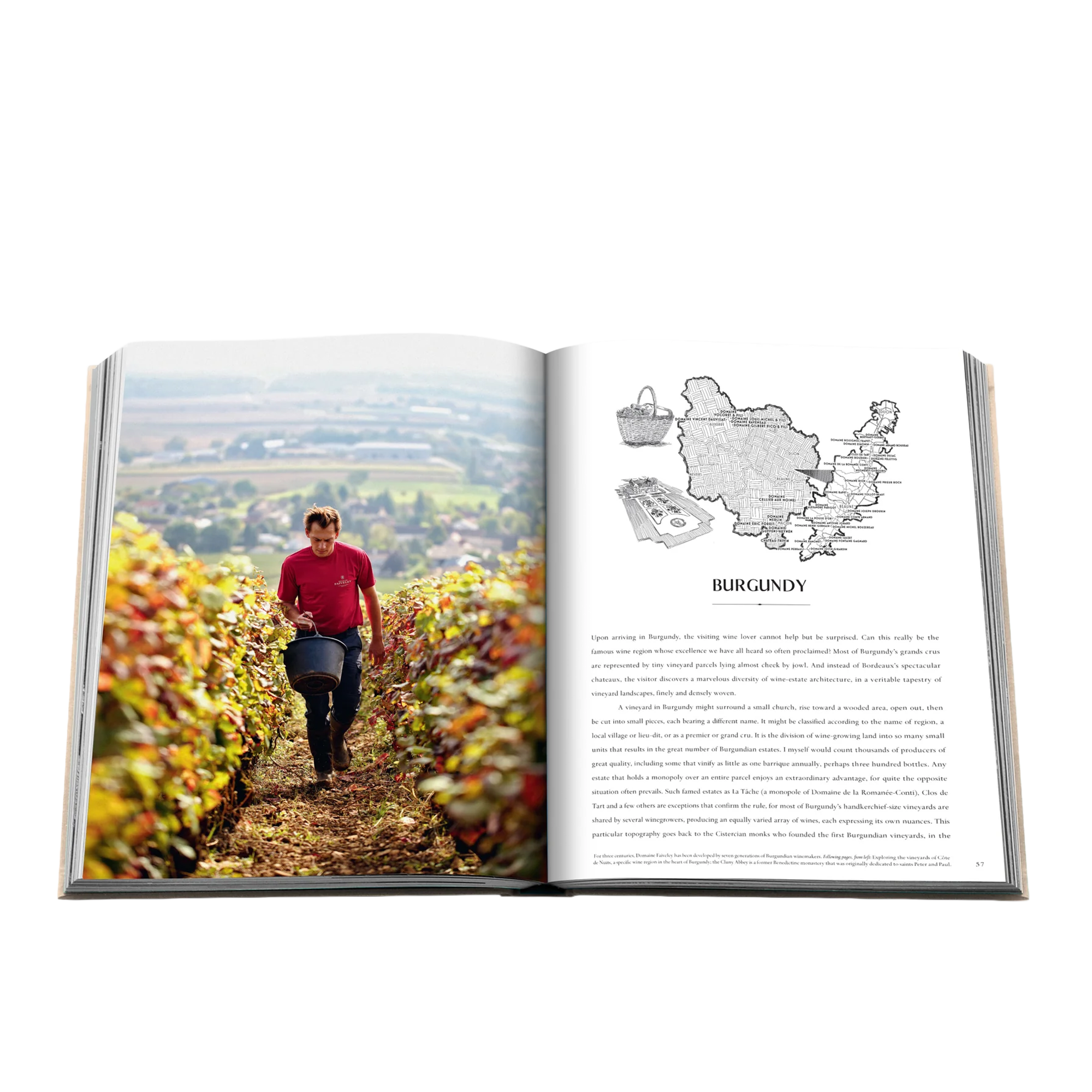 Wine & Travel France