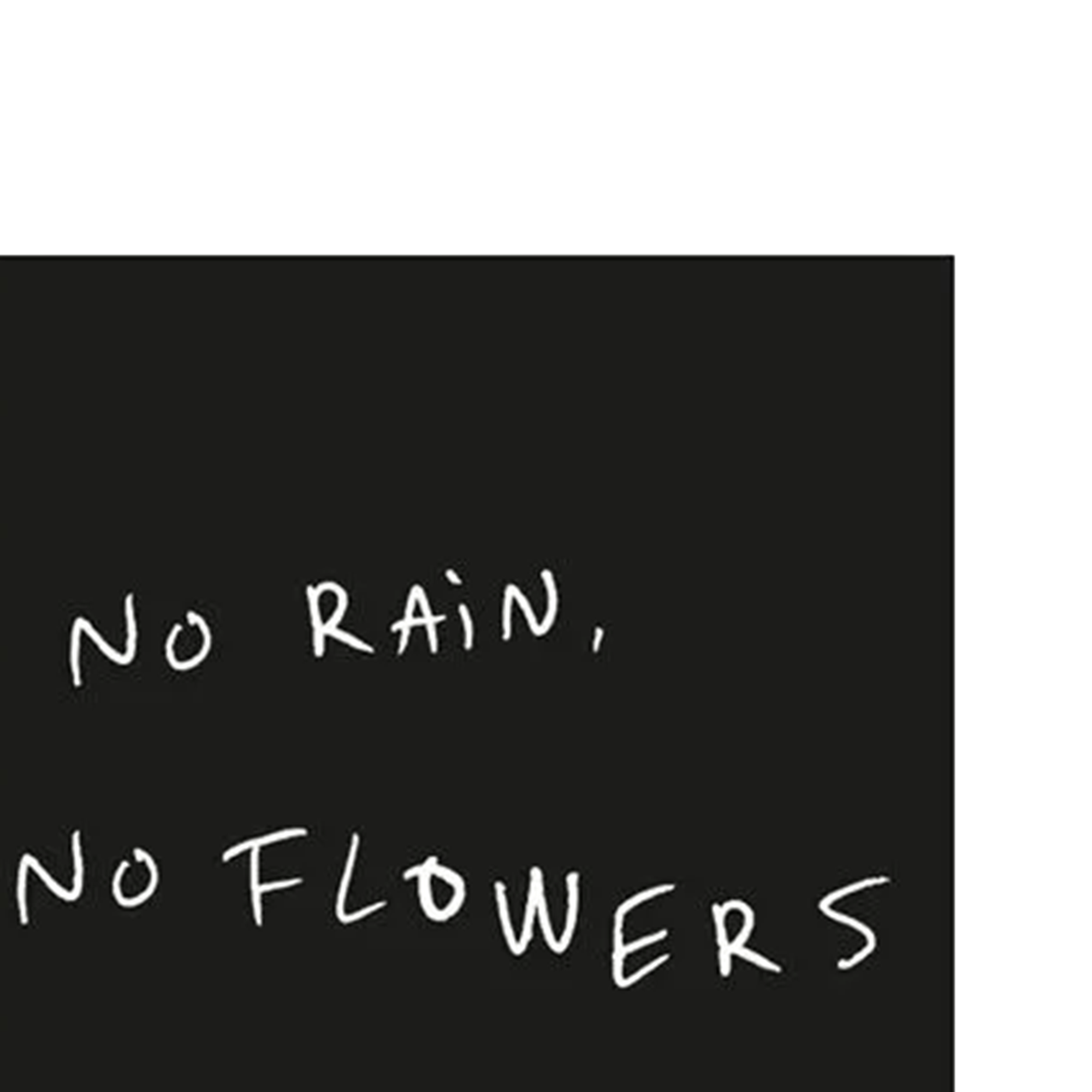 No Rain, No Flowers