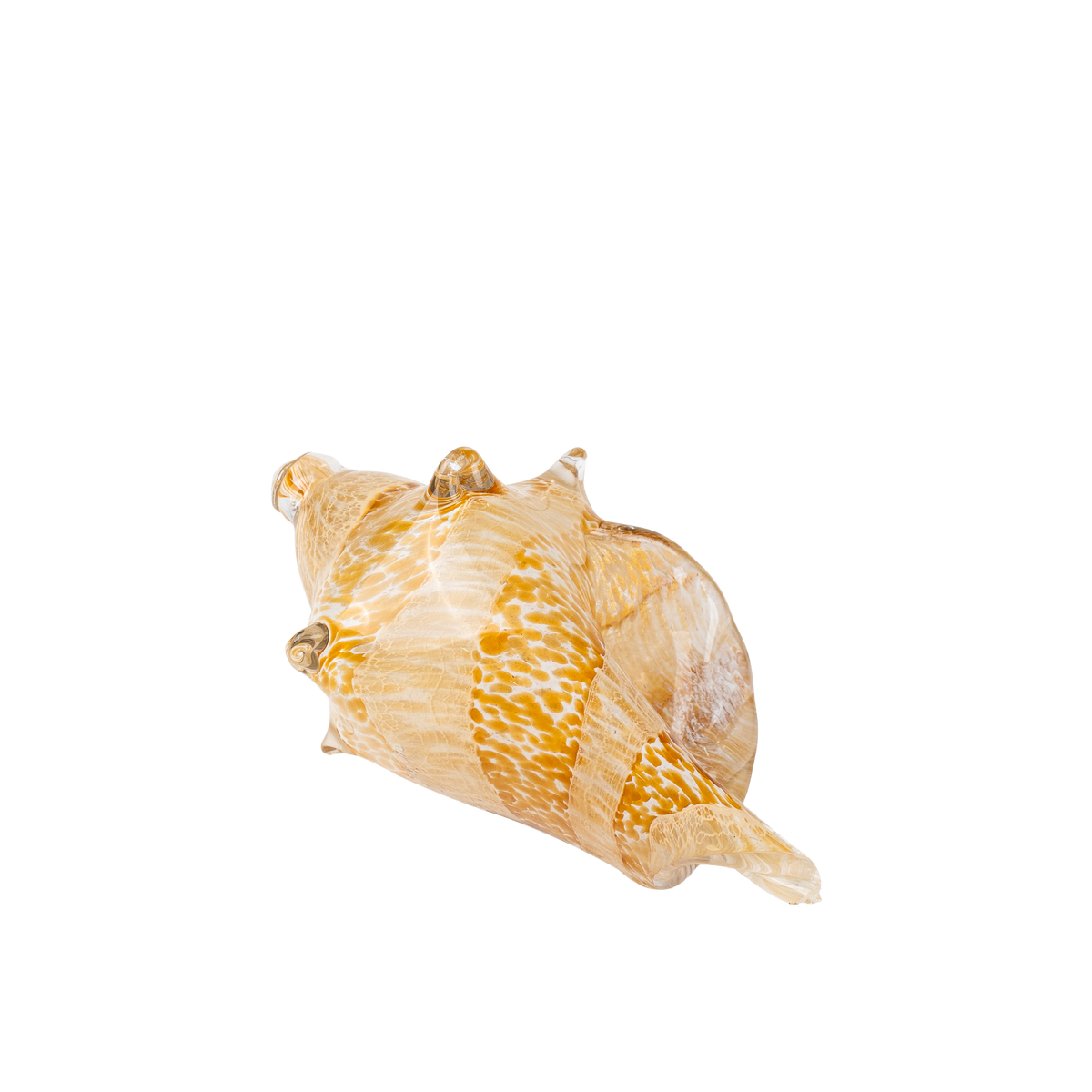 Conch
