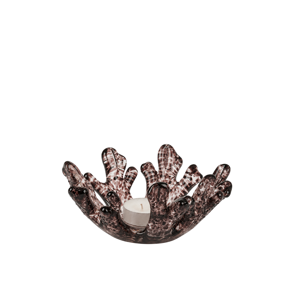 Coral T-Light Holder