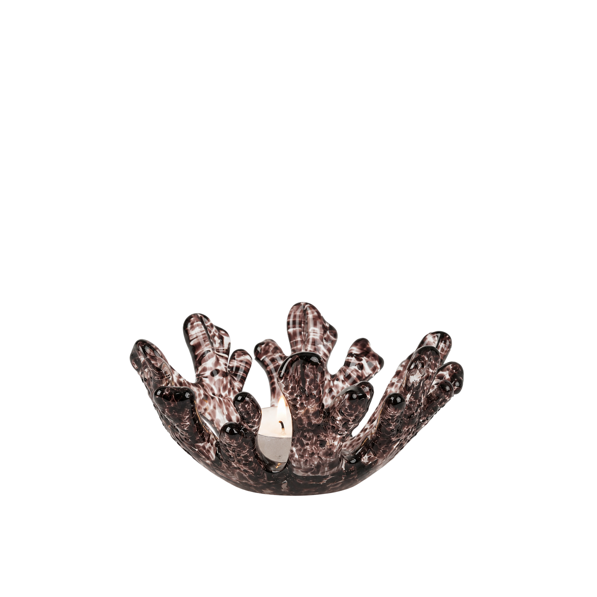Coral T-Light Holder