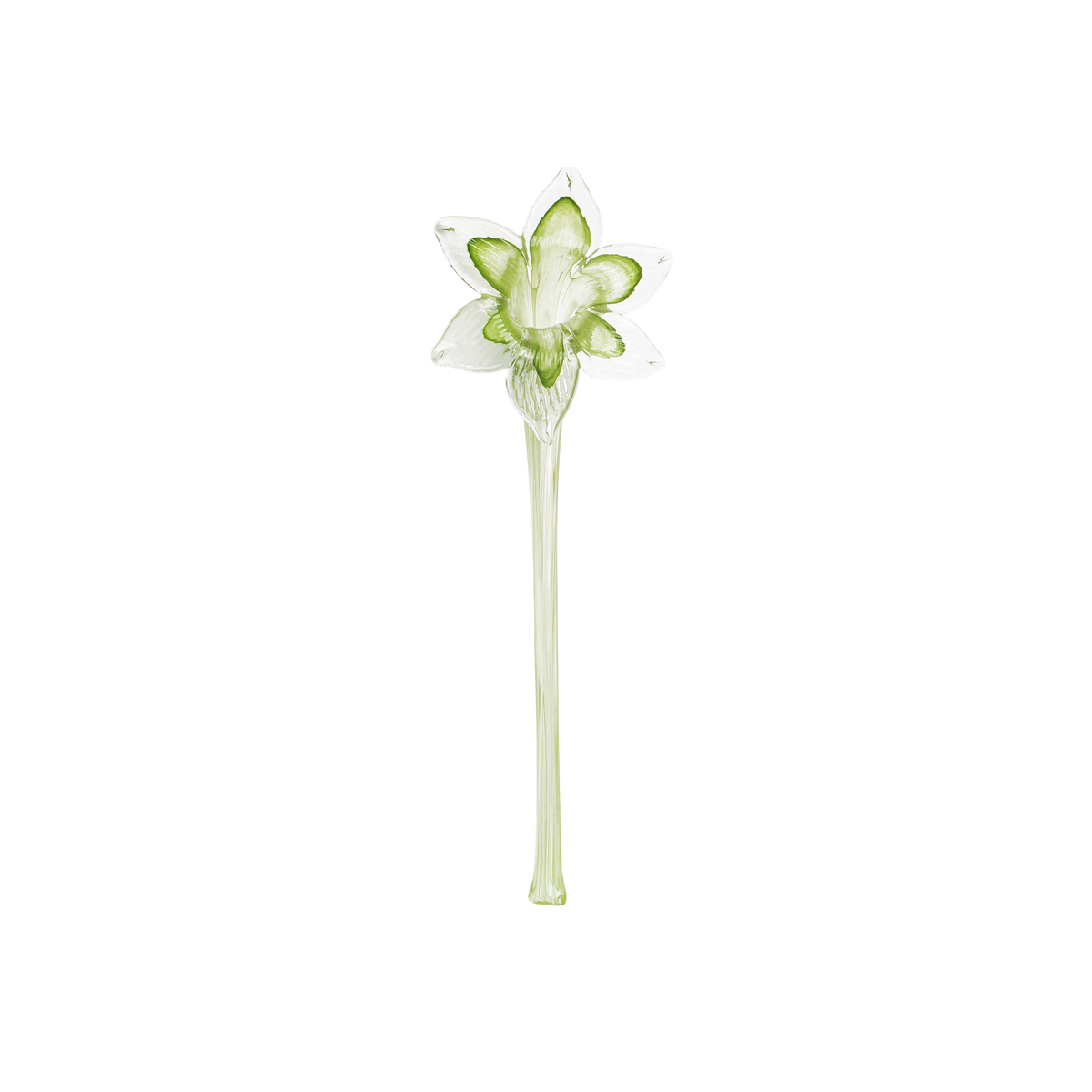 Pixie Lily Stem