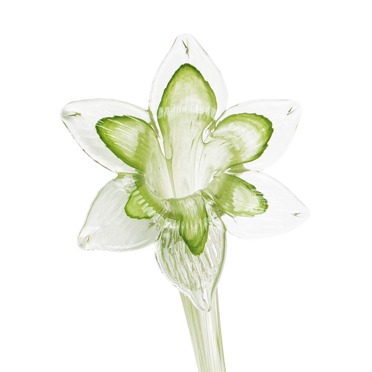 Pixie Lily Stem