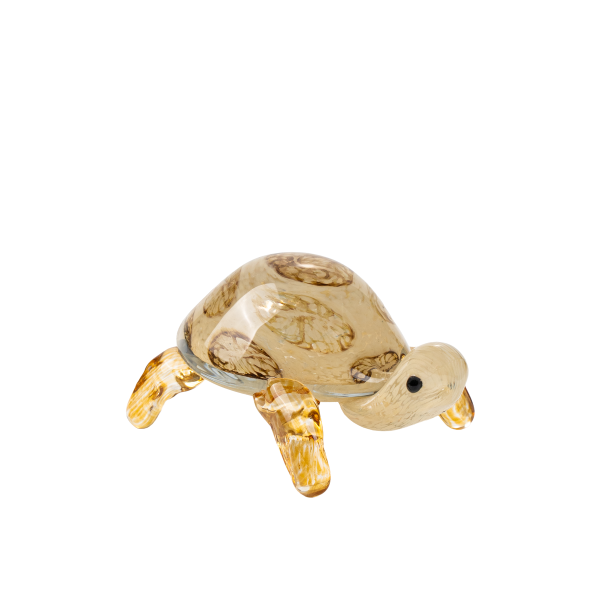 Graeca Tortoise