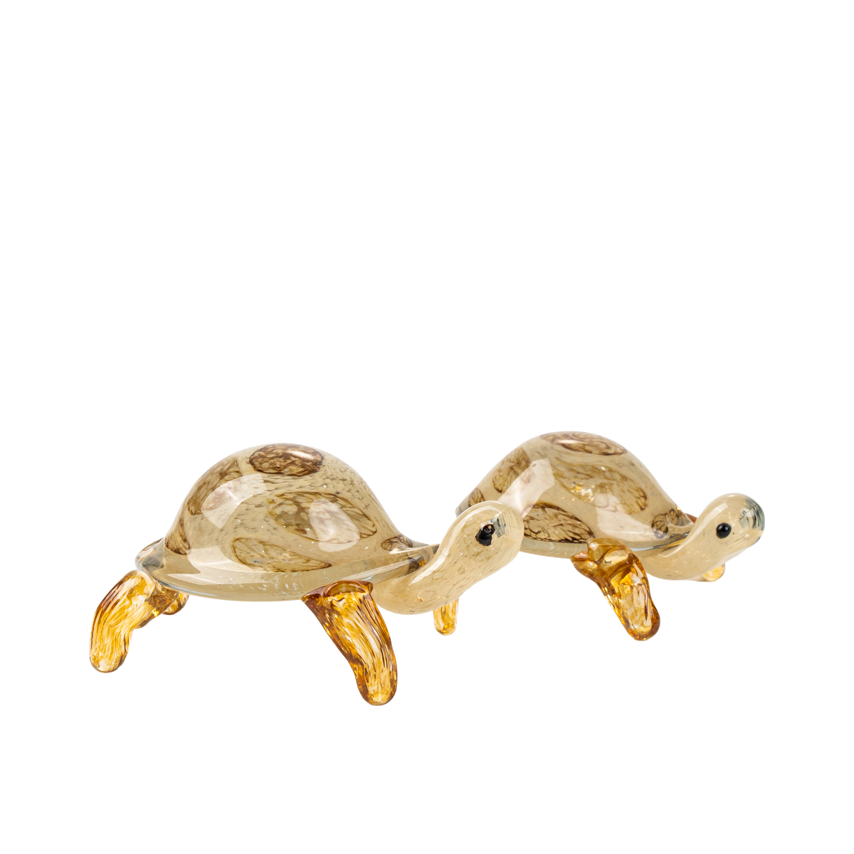 Graeca Tortoise
