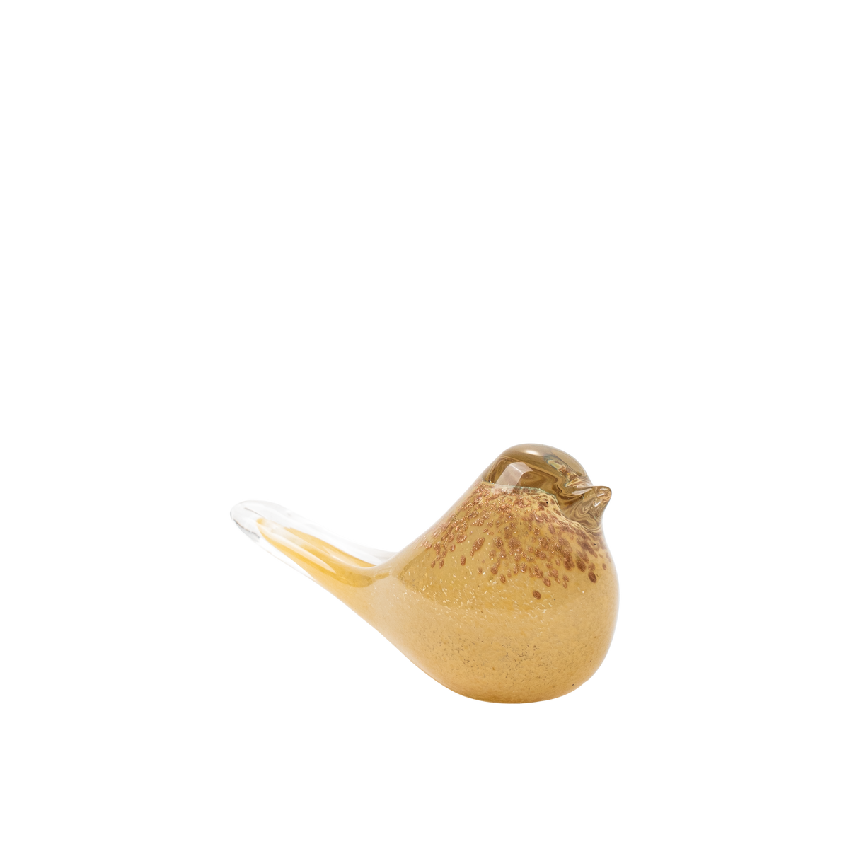 Passer Bird
