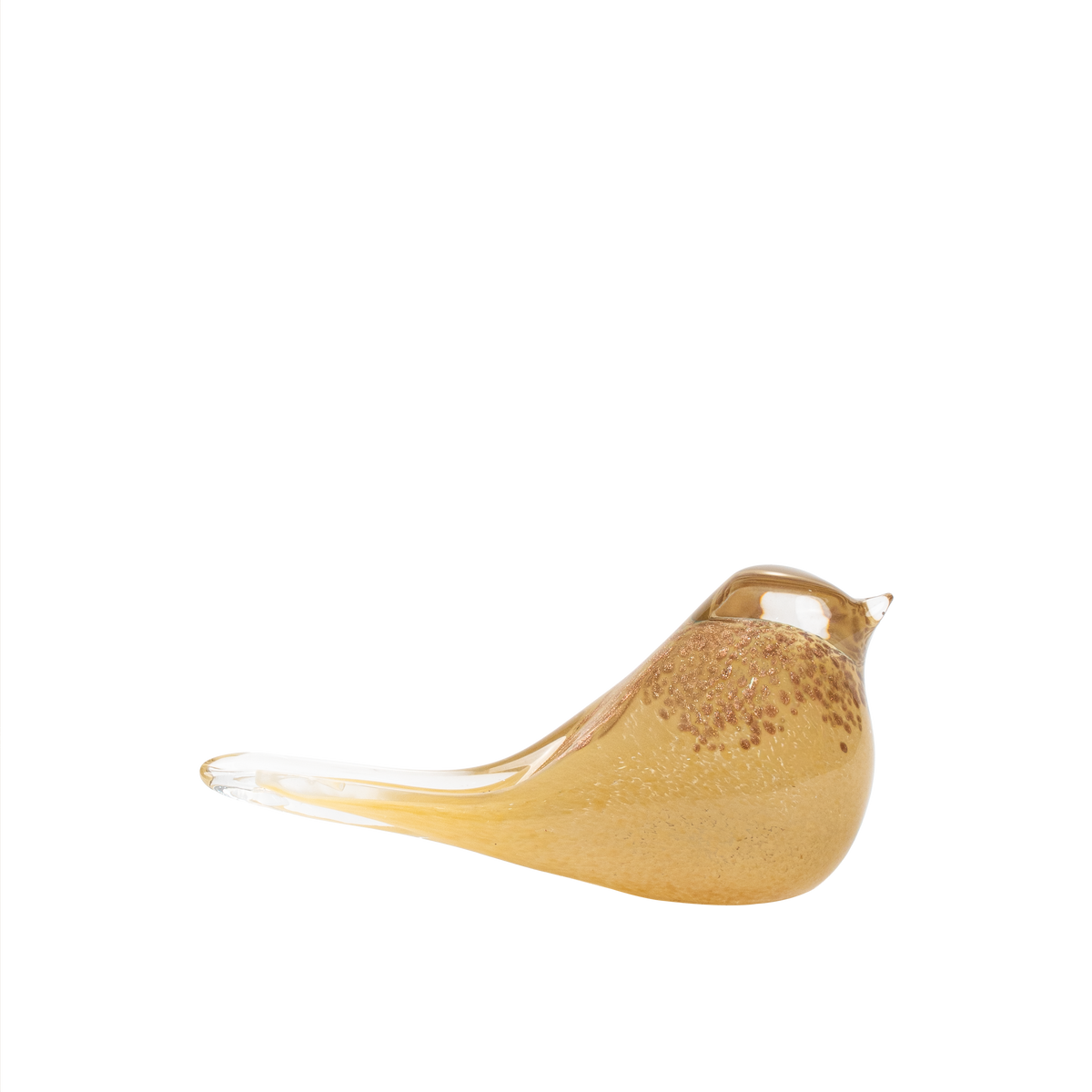 Passer Bird