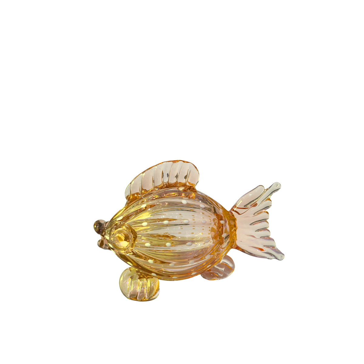 Finny Fish