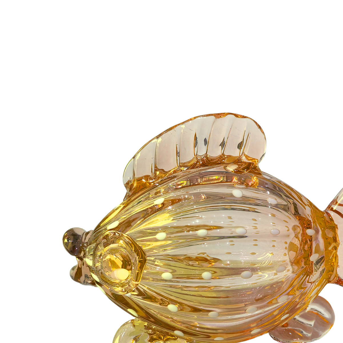 Finny Fish