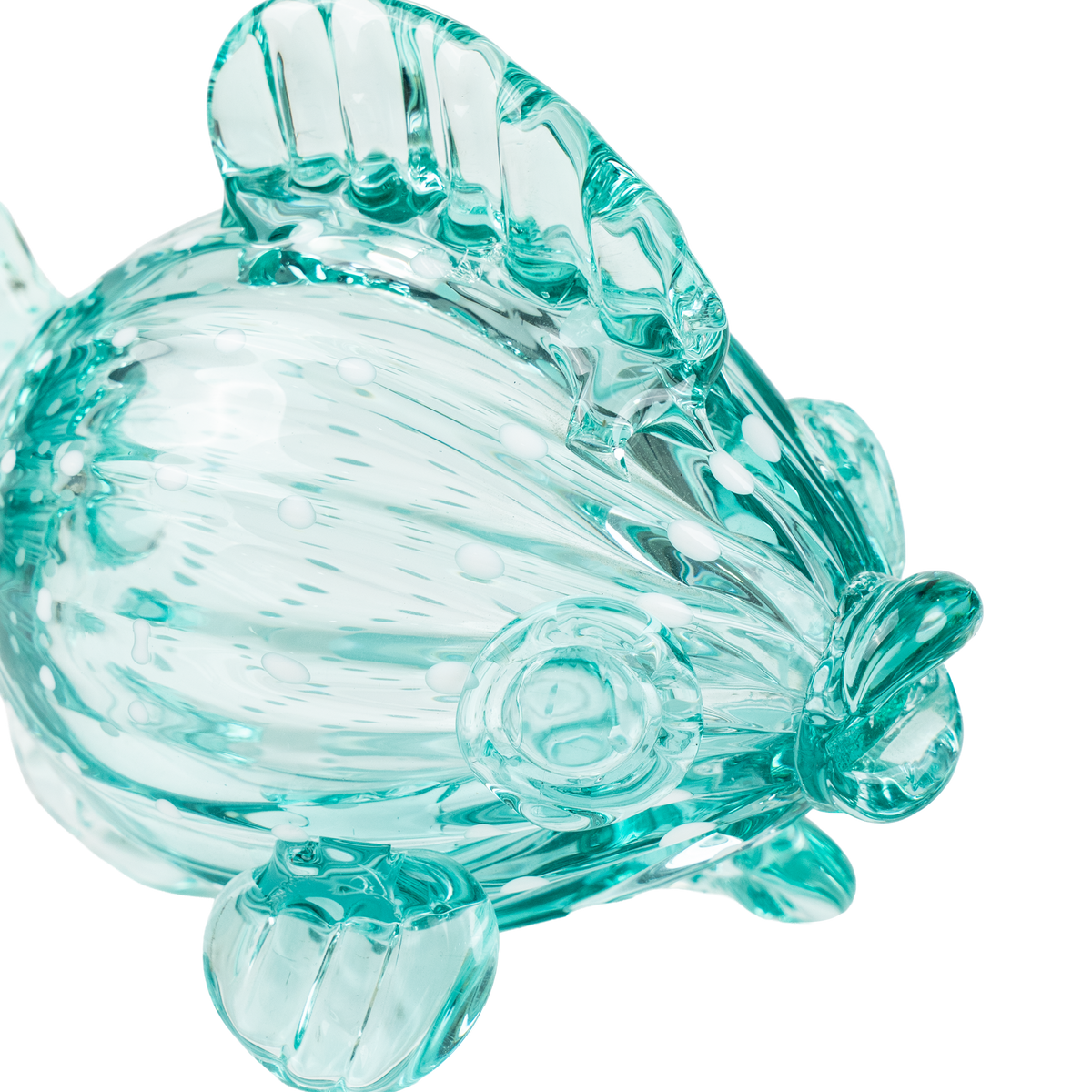 Finny Fish