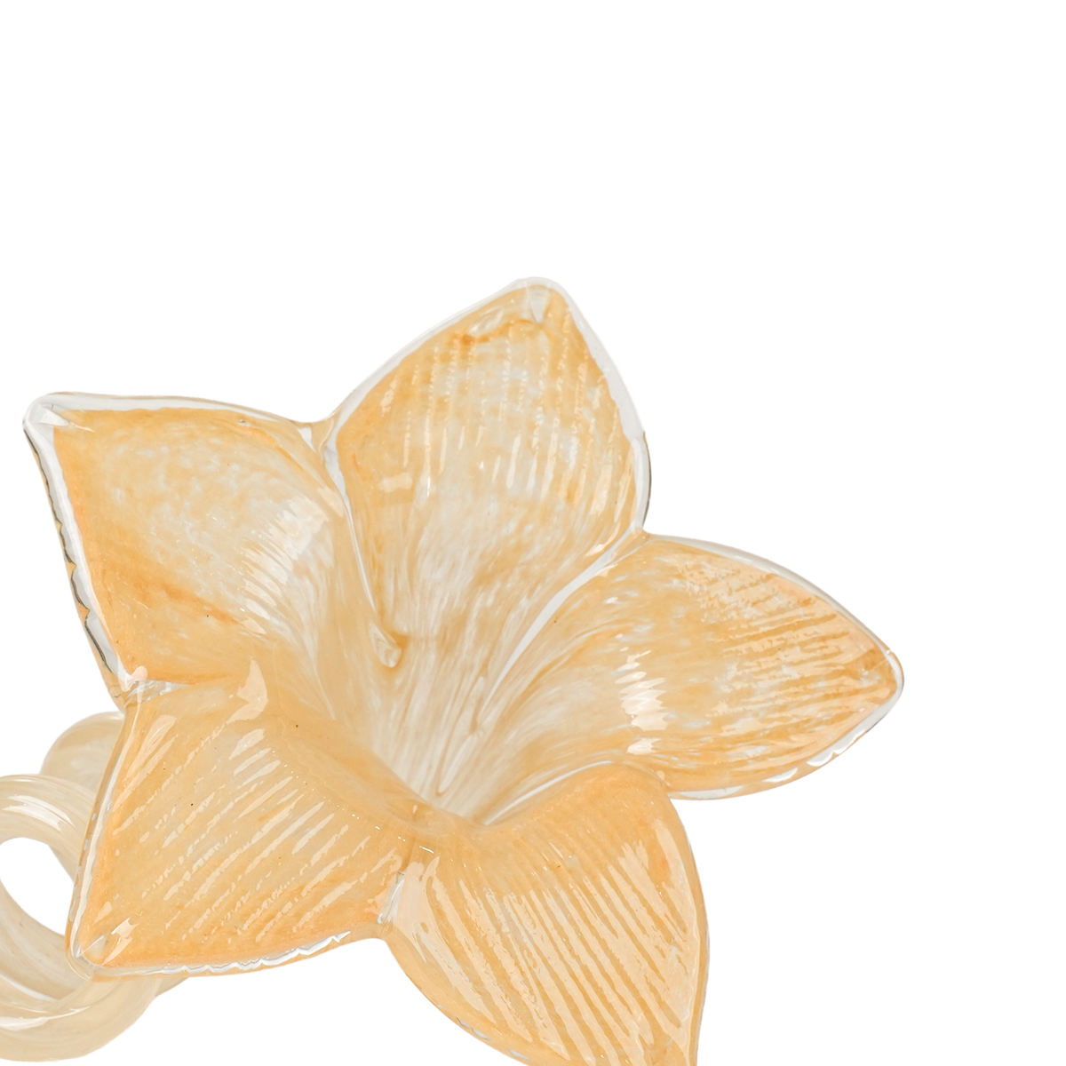 Thistle Lily