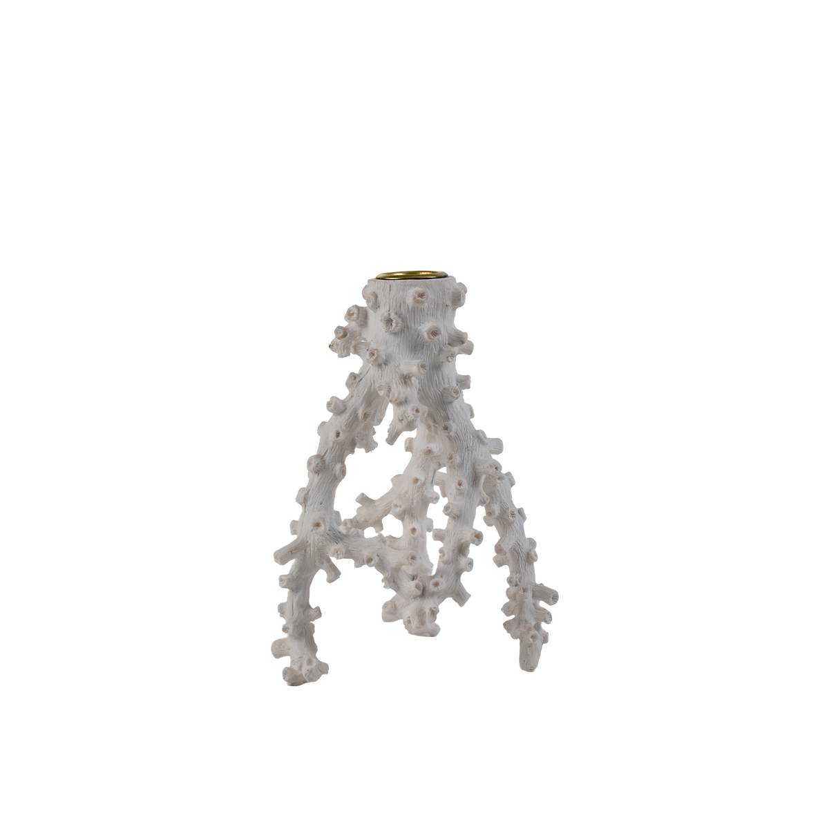 Atoll Taper Candle Holder