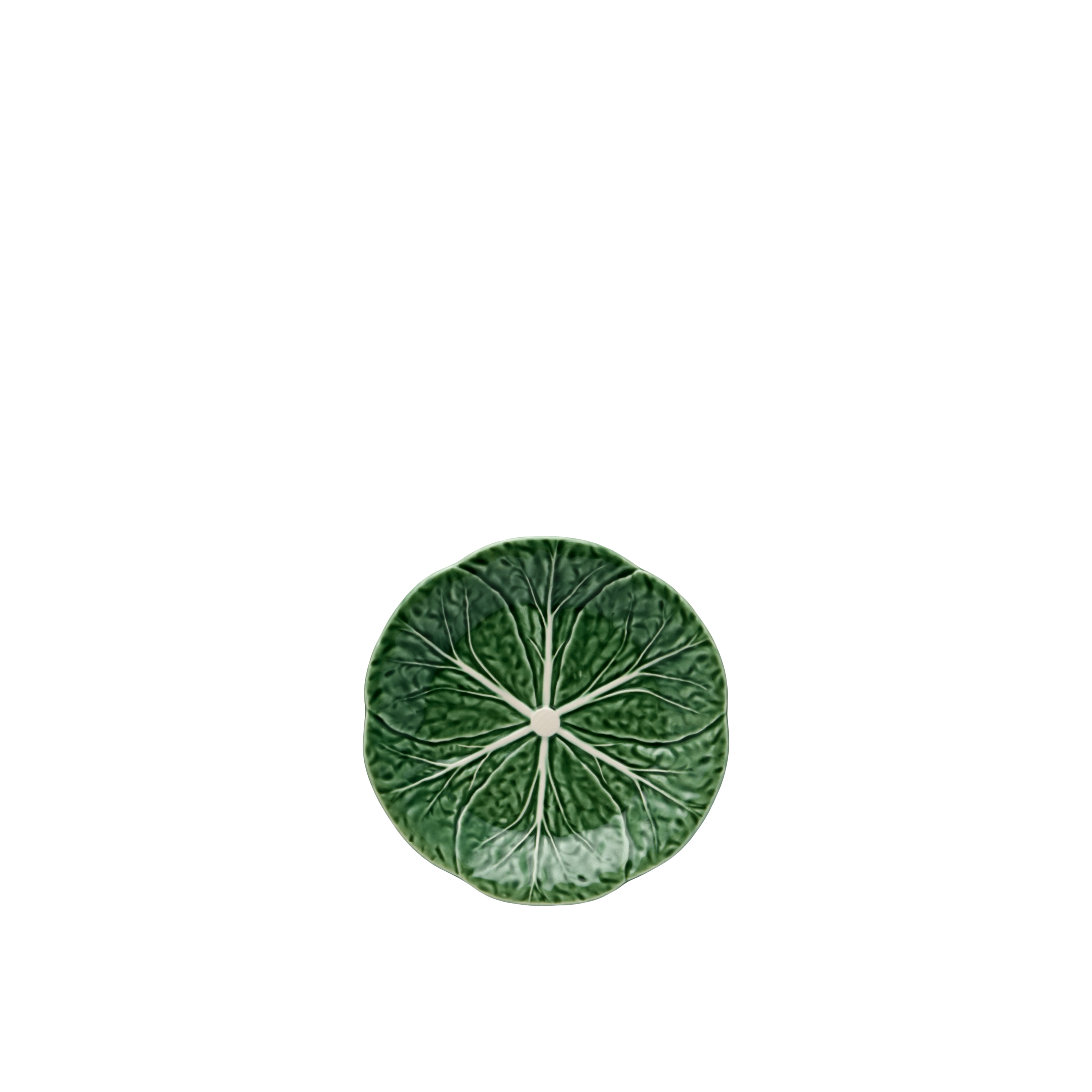 Cabbage Salad Plate Green