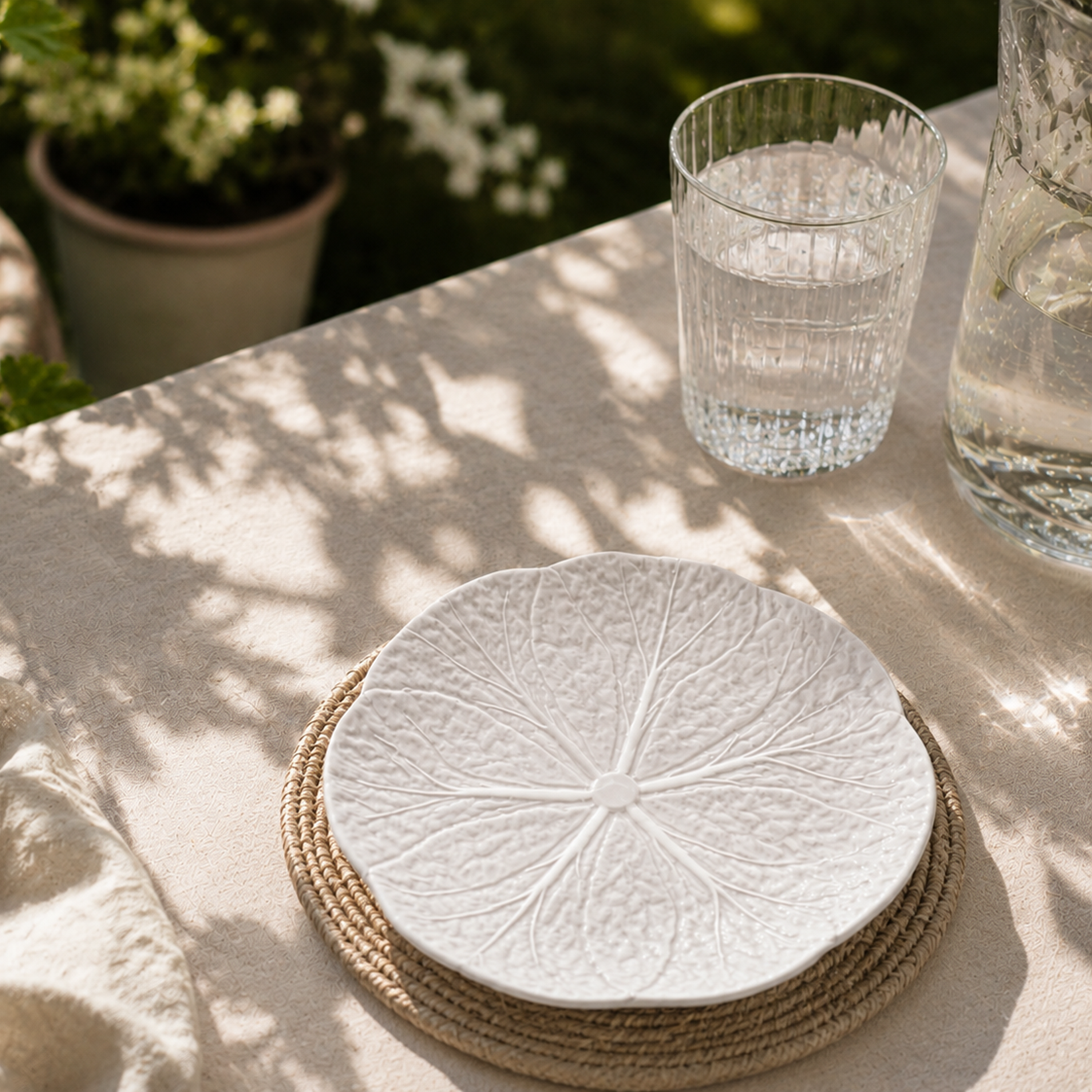 Cabbage Salad Plate White