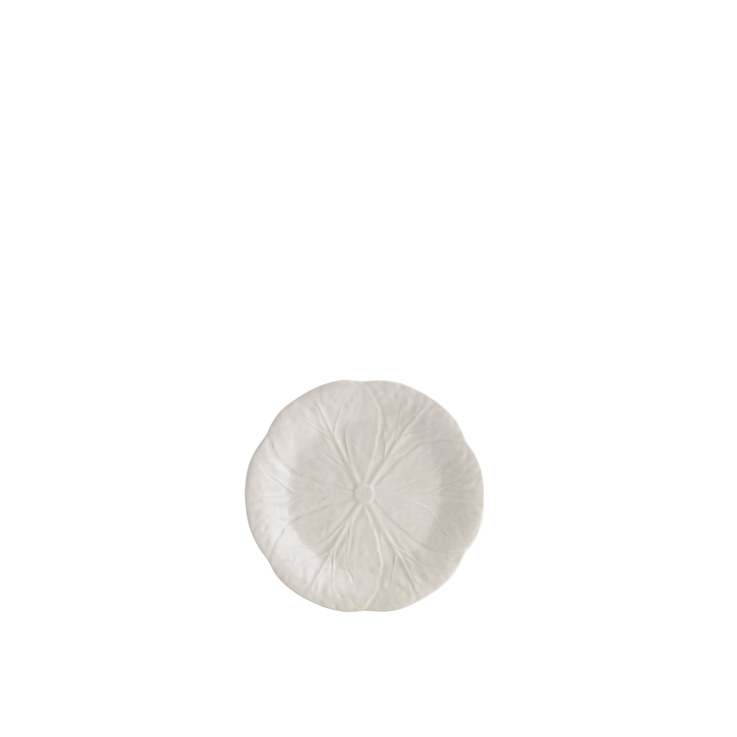 Cabbage Salad Plate White
