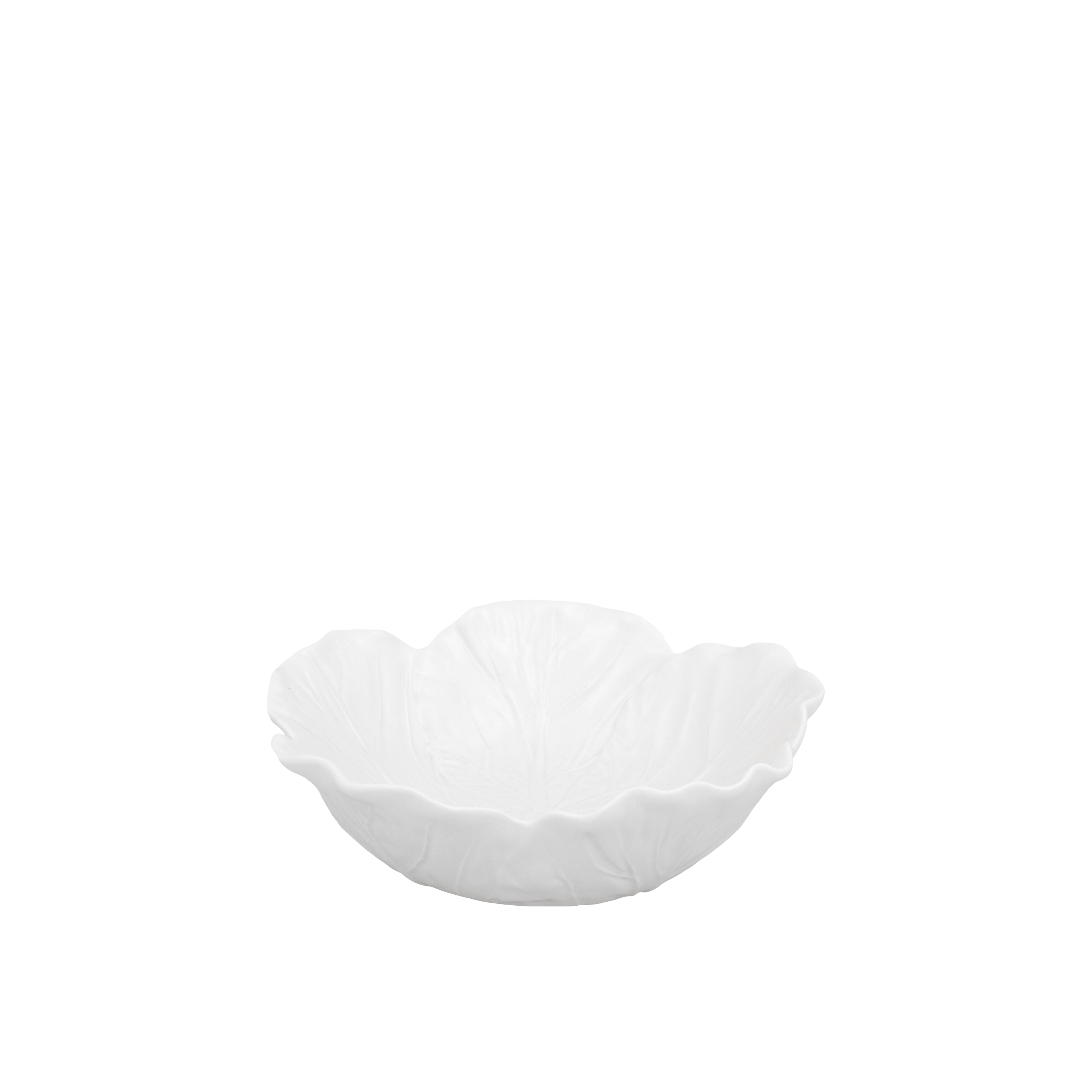 Cabbage Salad Bowl White